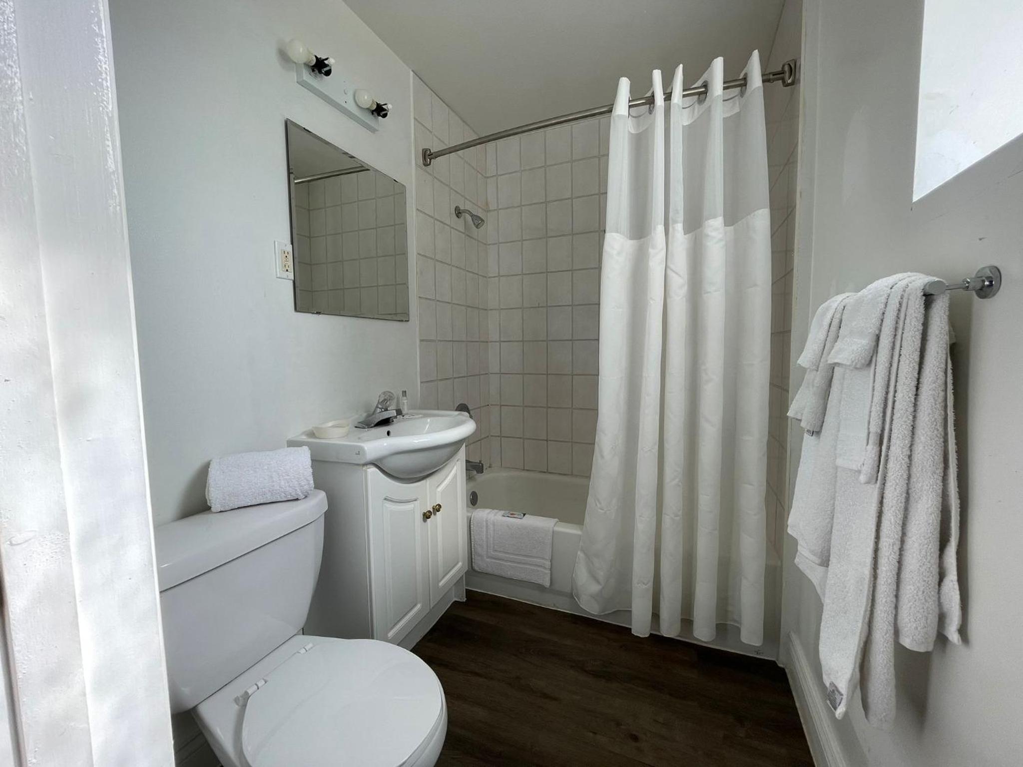 bathroom with a toilet, sink, and shower curtain