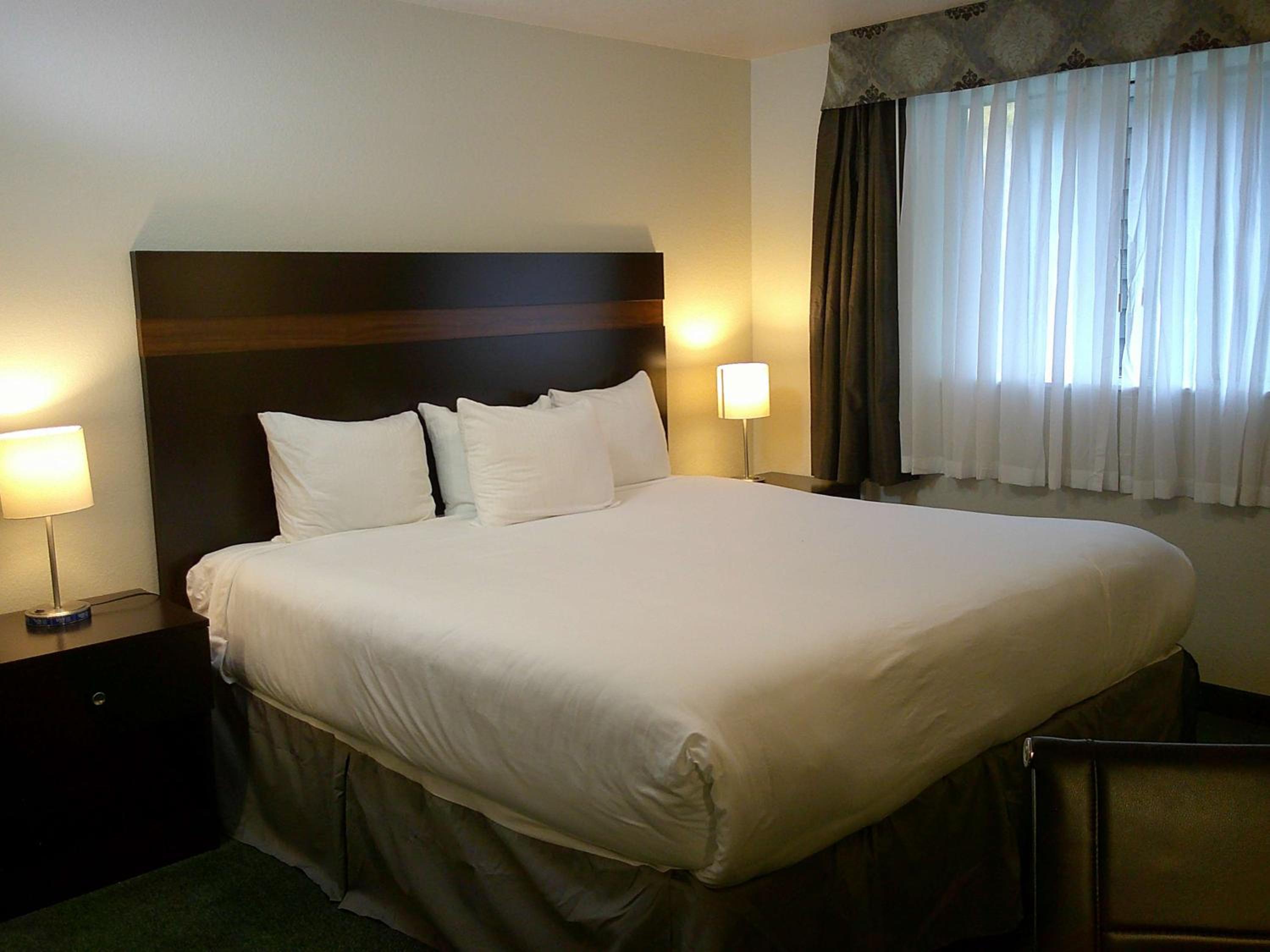 King Suite with Sofa Bed and Kitchen - Ground Floor/Non-Smoking - Photo 1