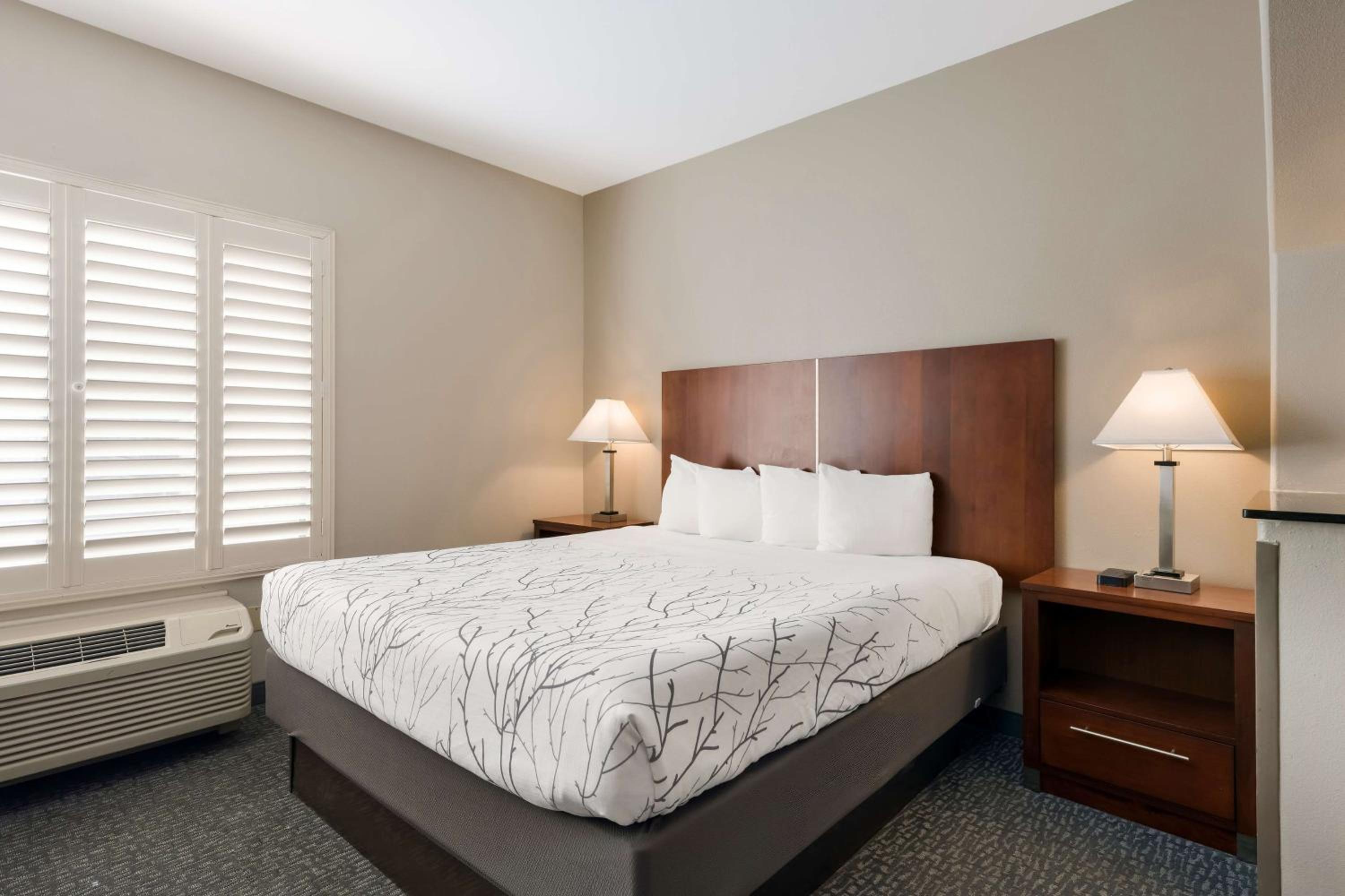 King Suite - Disability Access/Non-Smoking - Photo 4