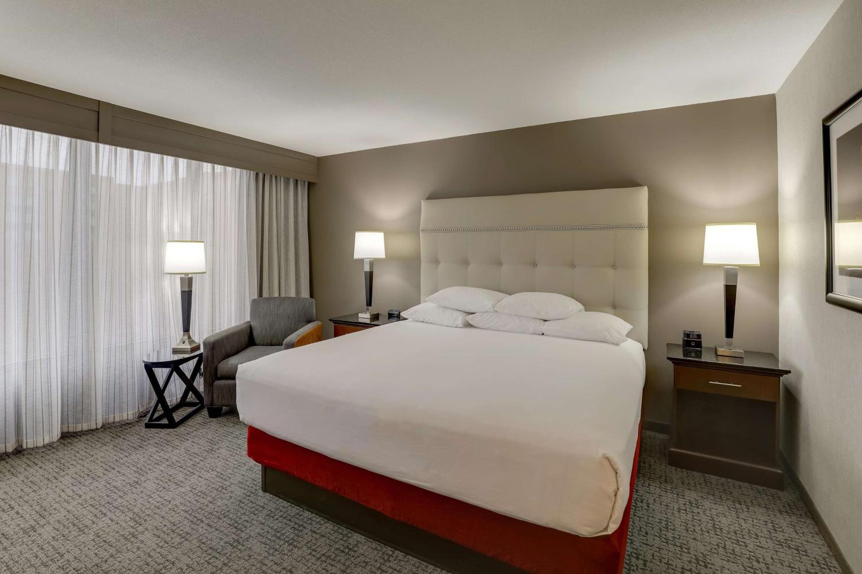 Superior King Room with Sofa Bed photo 1