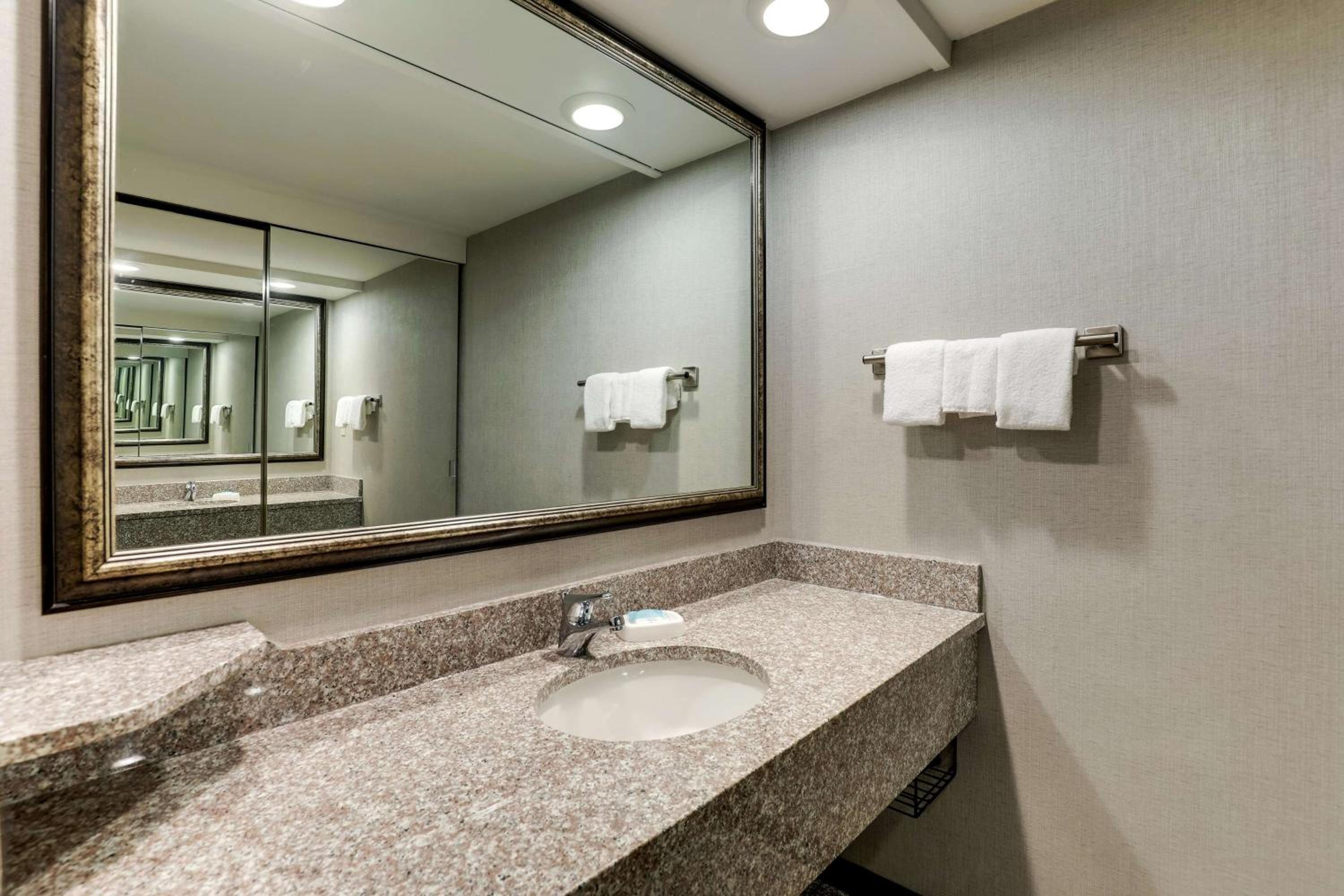 King Suite with Sofa Bed - Accessible, Tub photo 2
