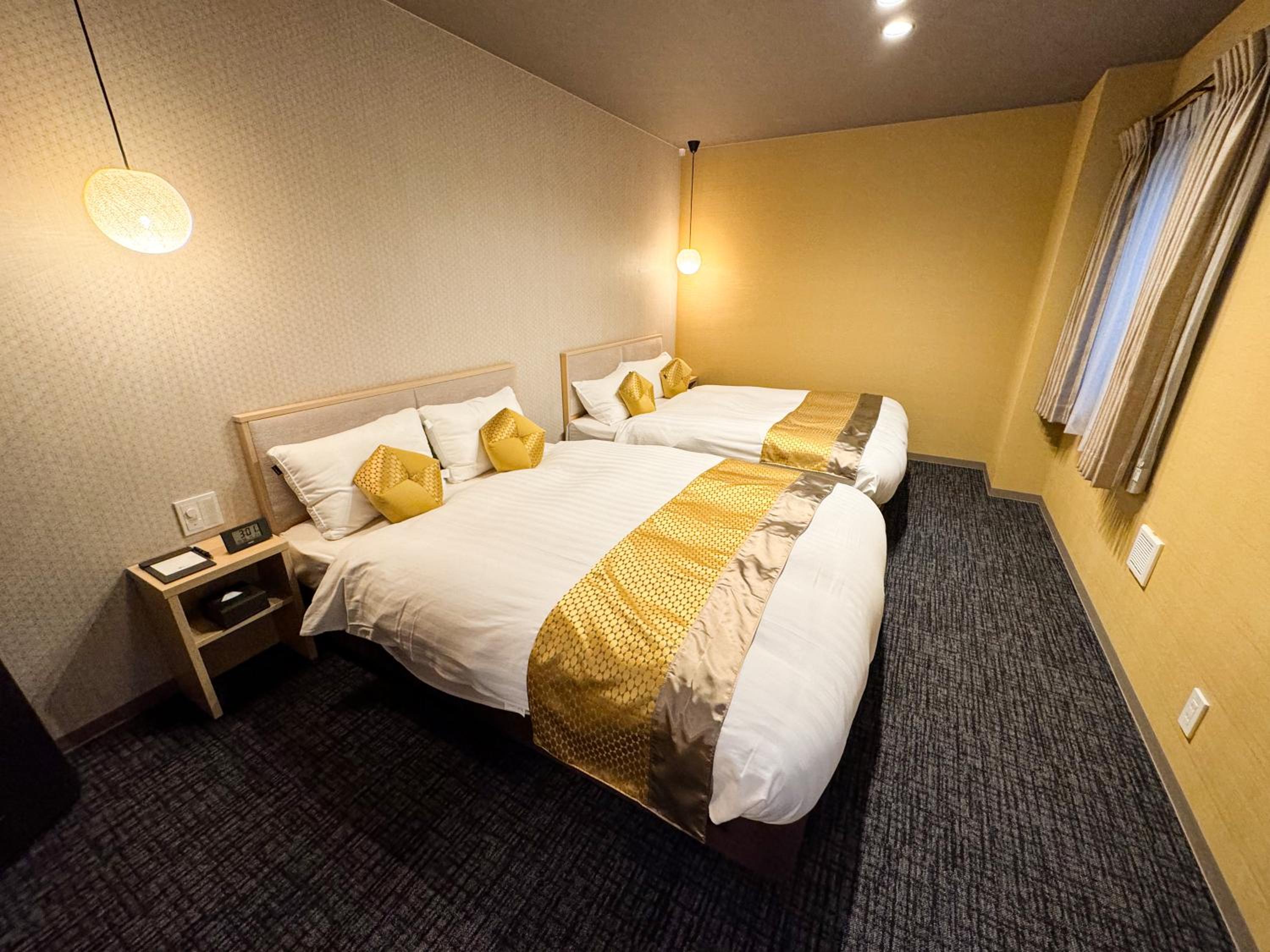 Deluxe Twin Room - Photo 11