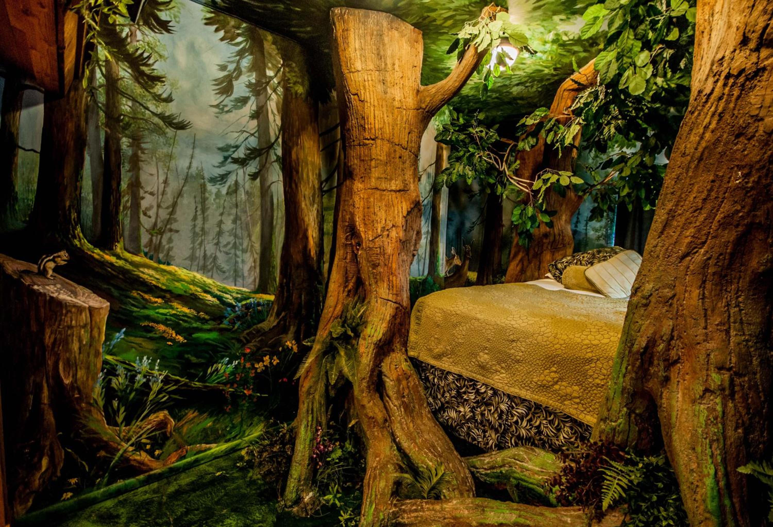 Superior Queen Room photo 3