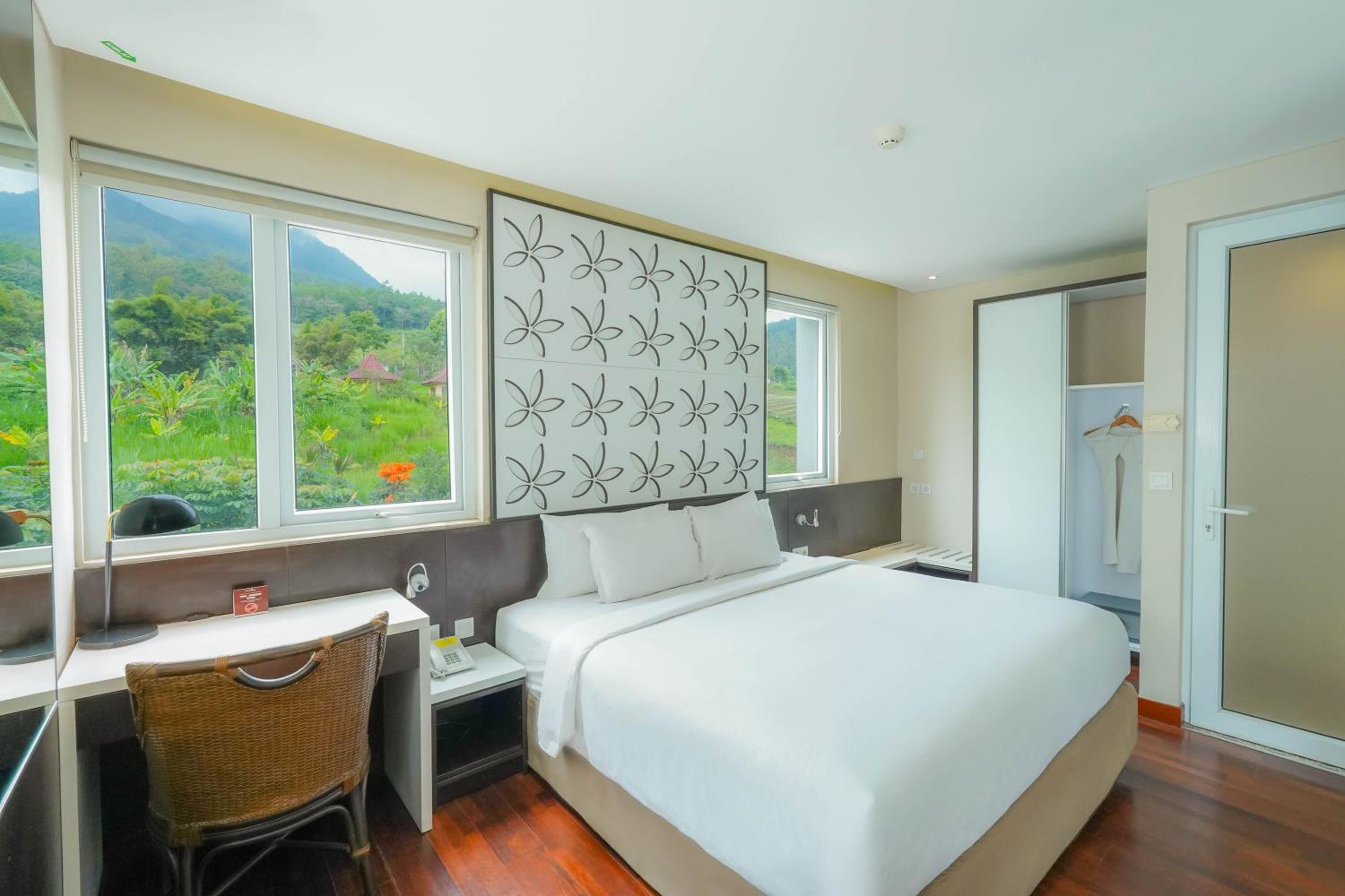 Executive Suite photo 2