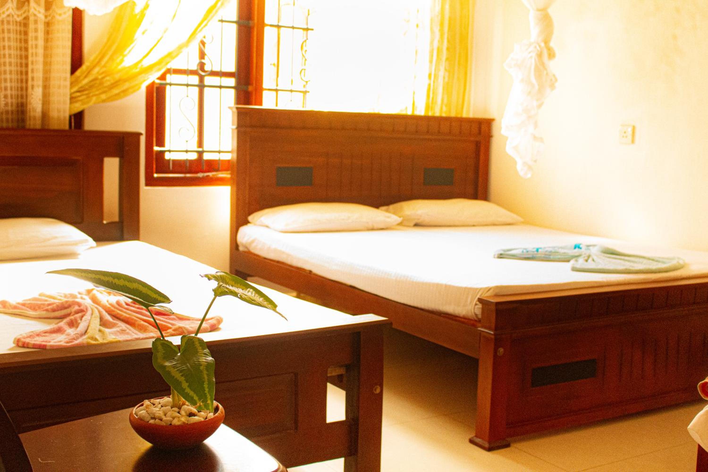Single Bed in 4-Bed Dormitory Room photo 1