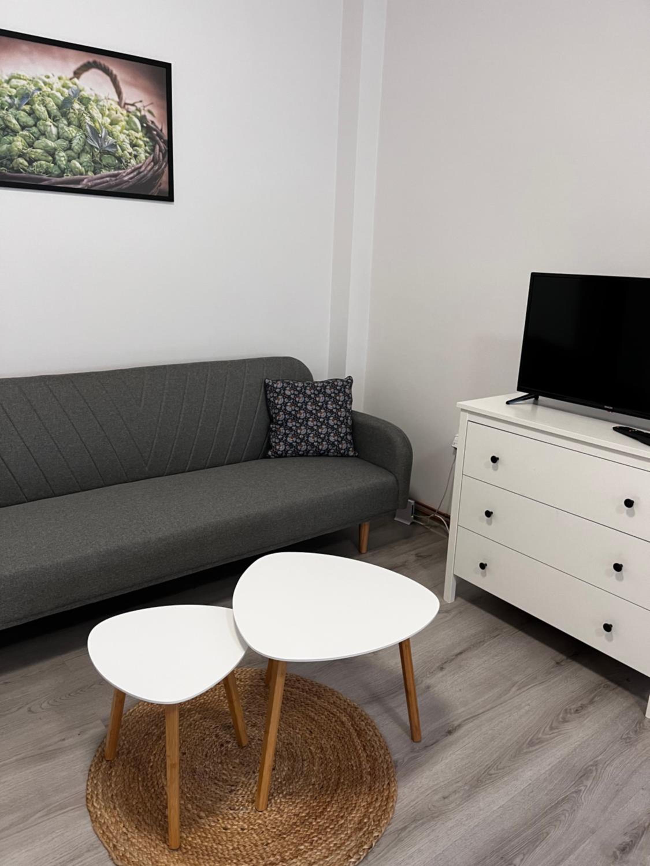 Two-Bedroom Apartment photo 2