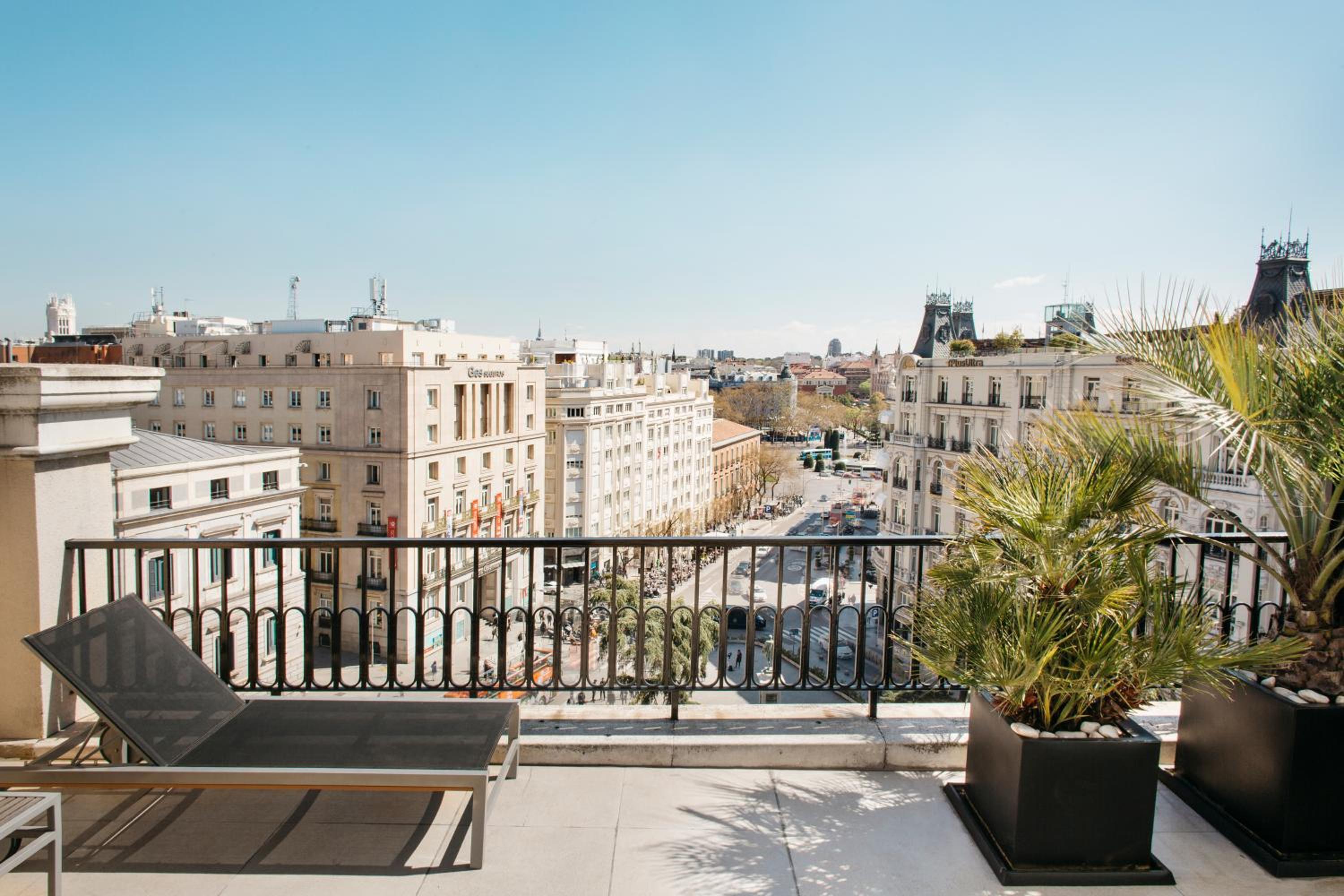 Suite with Terrace