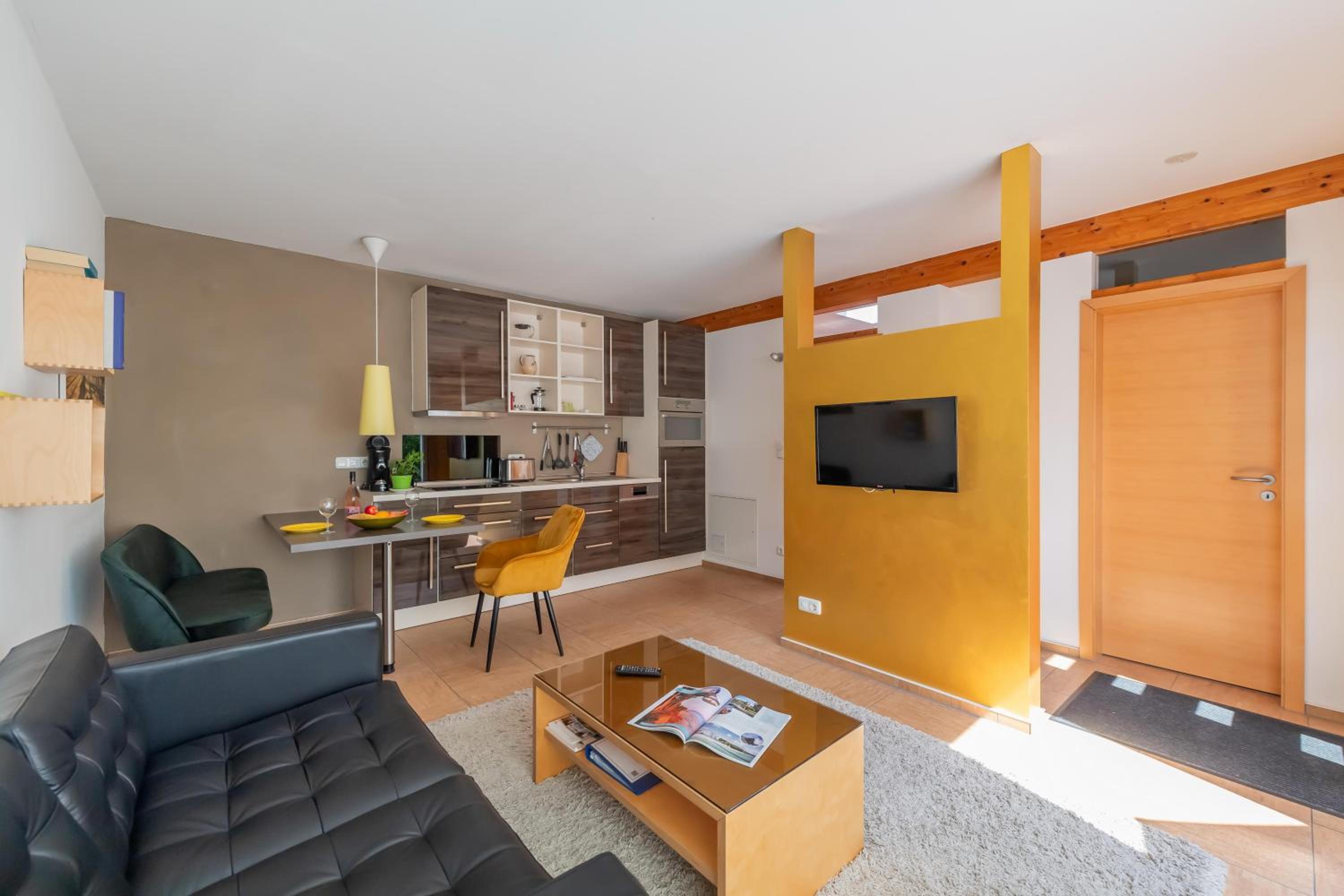 Apartment with Terrace photo 2