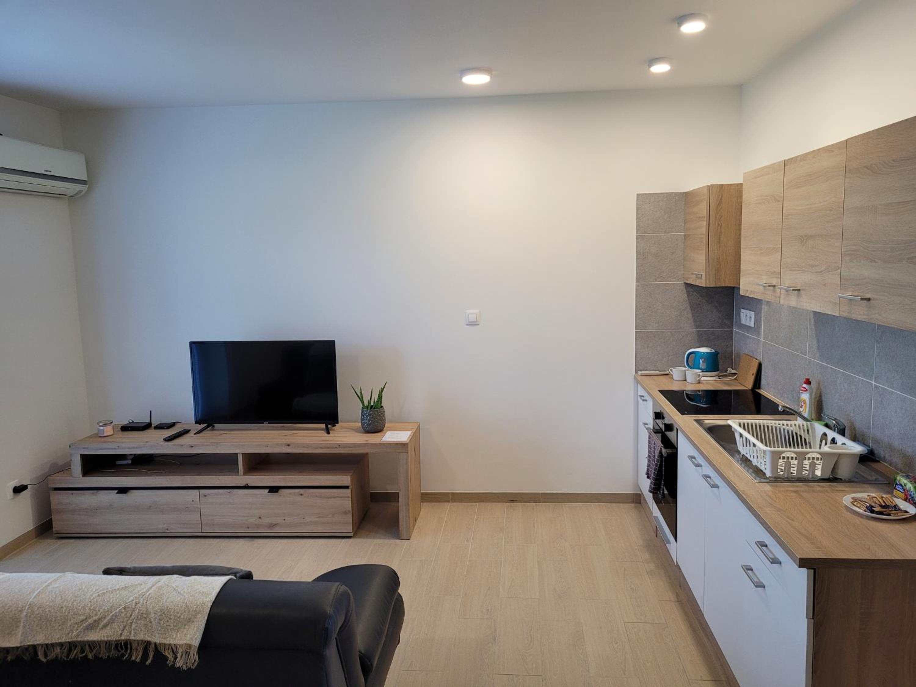 One-Bedroom Apartment photo 2