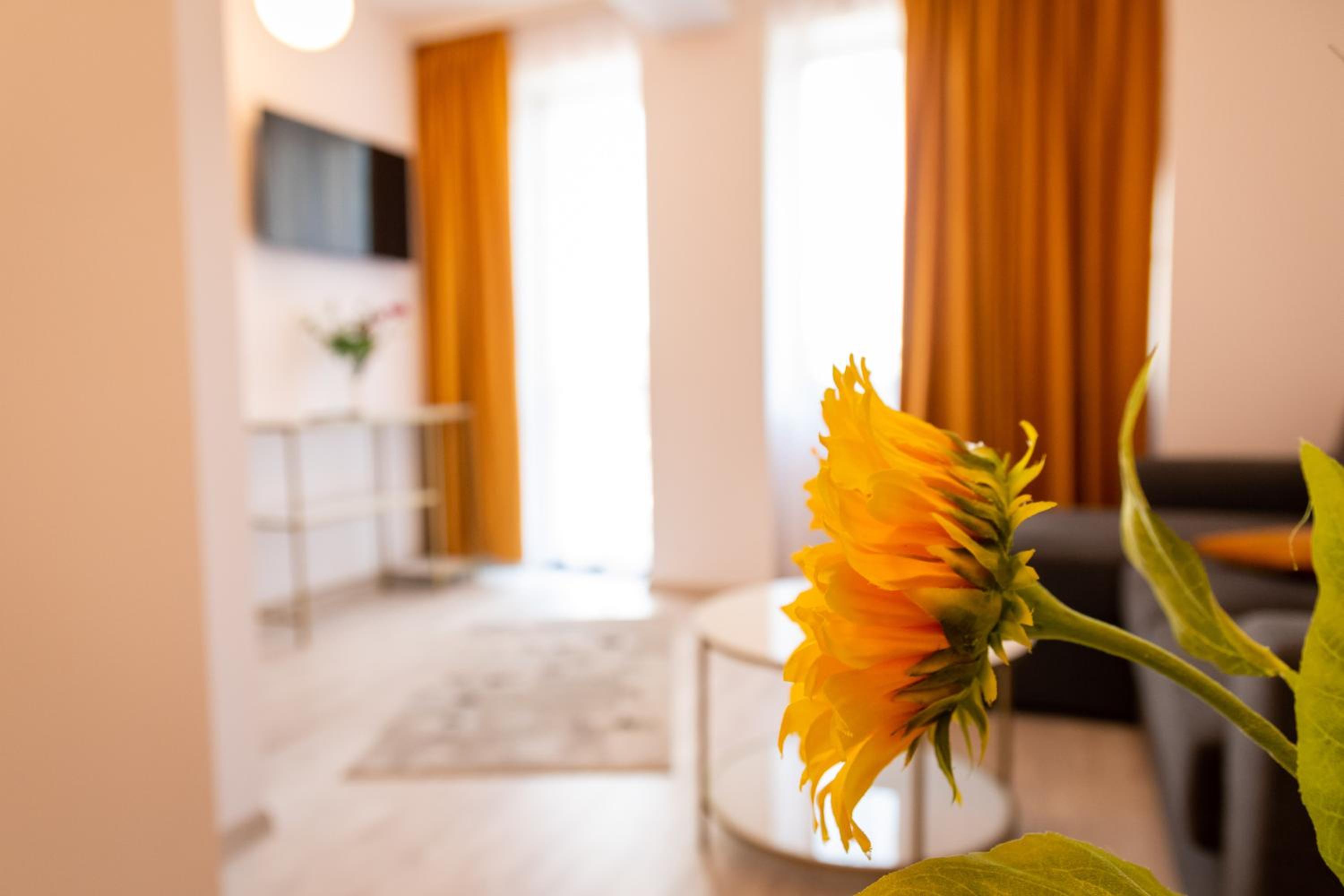 Apartment - Photo 7