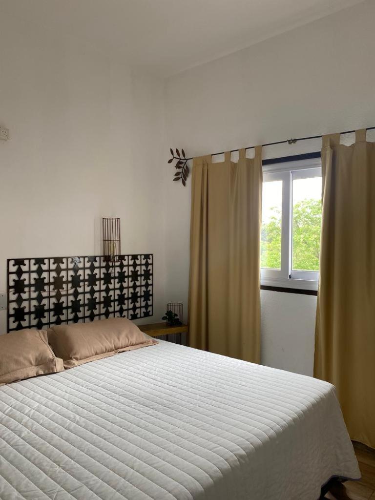 Double or Twin Room photo 1