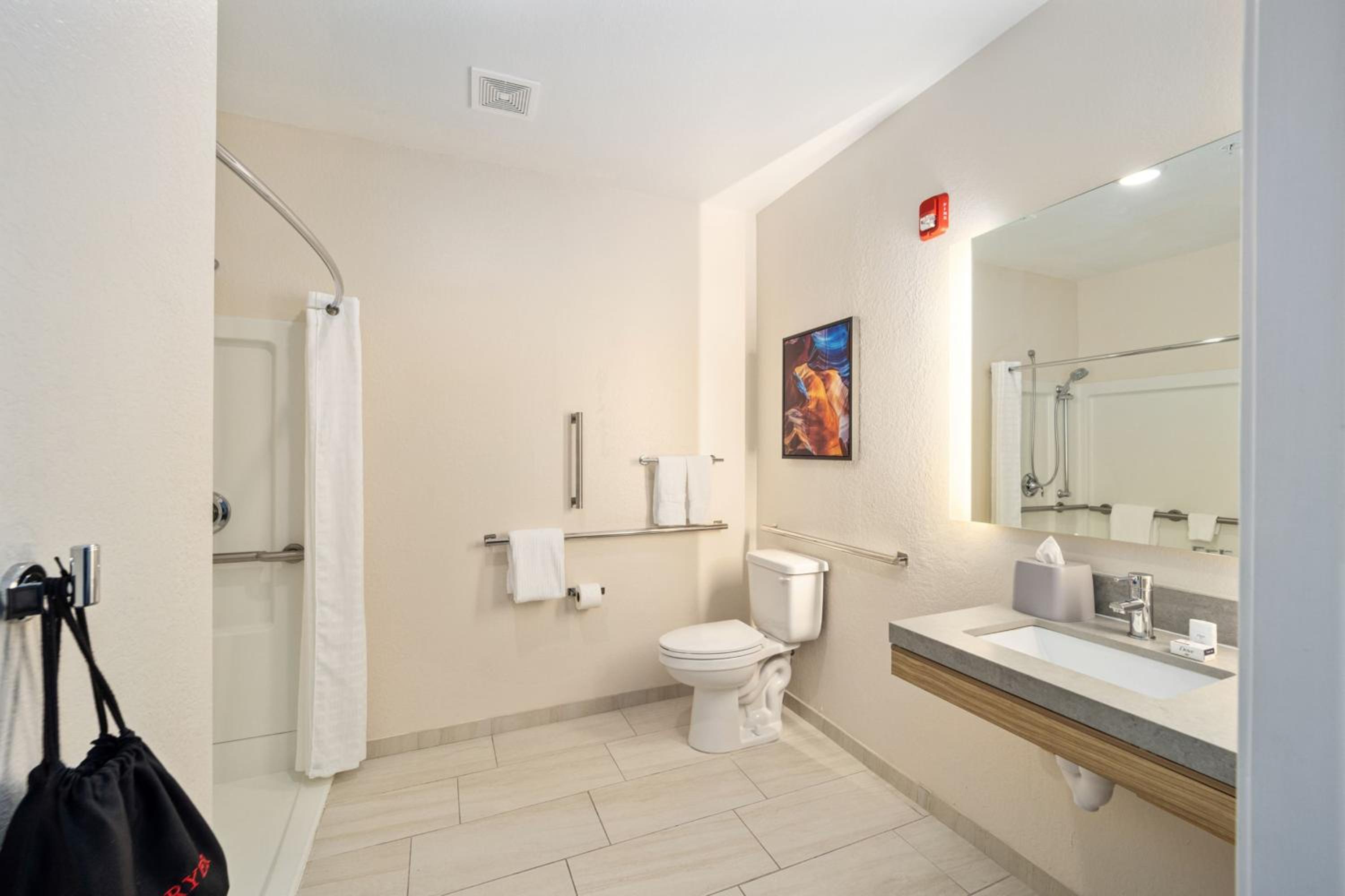 King Studio Suite - Mobility Access Roll in Shower/Non-Smoking - Photo 3