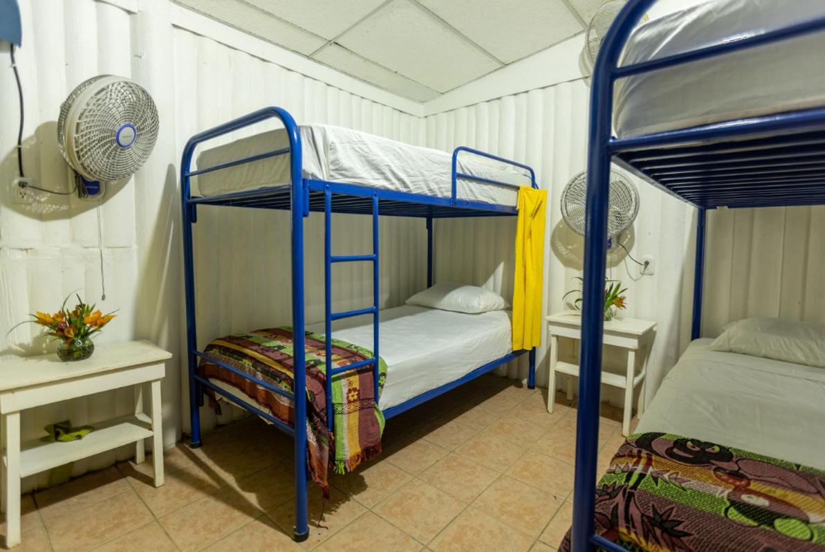Bed in 6-Bed Mixed Dormitory Room