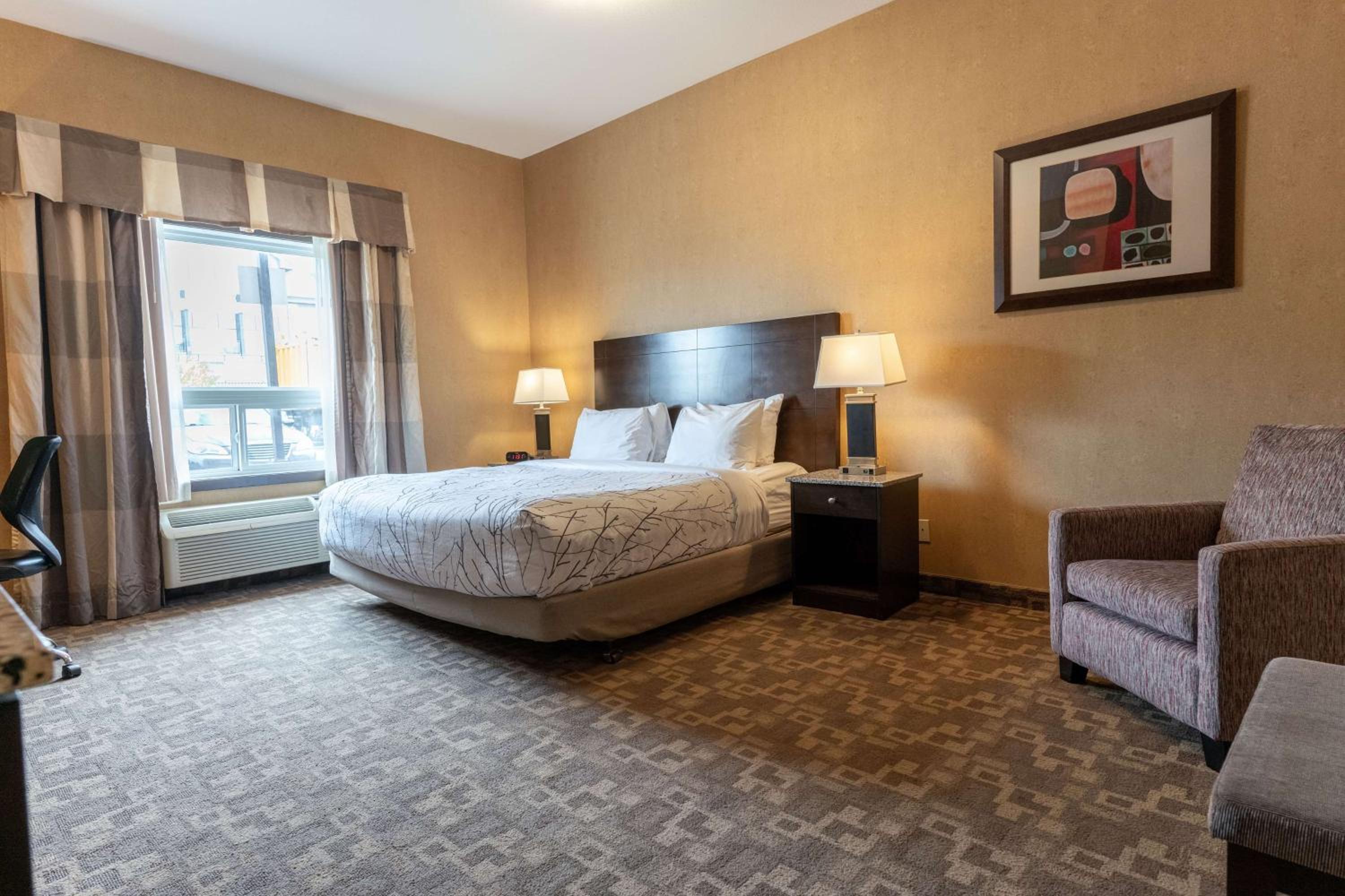 King Room - Disability Access - Photo 1
