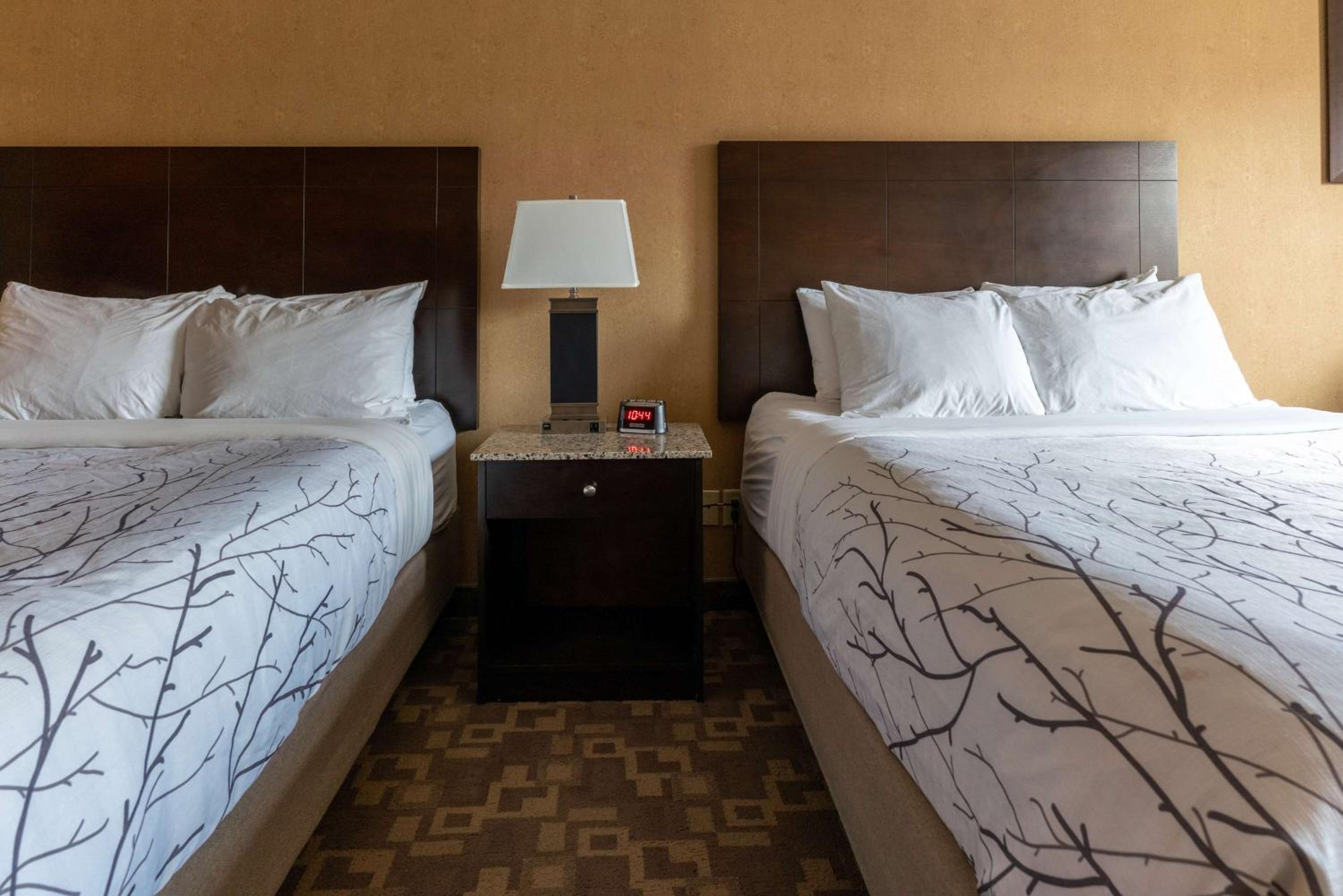 Queen Room with Two Queen Beds - Non-Smoking - Photo 6