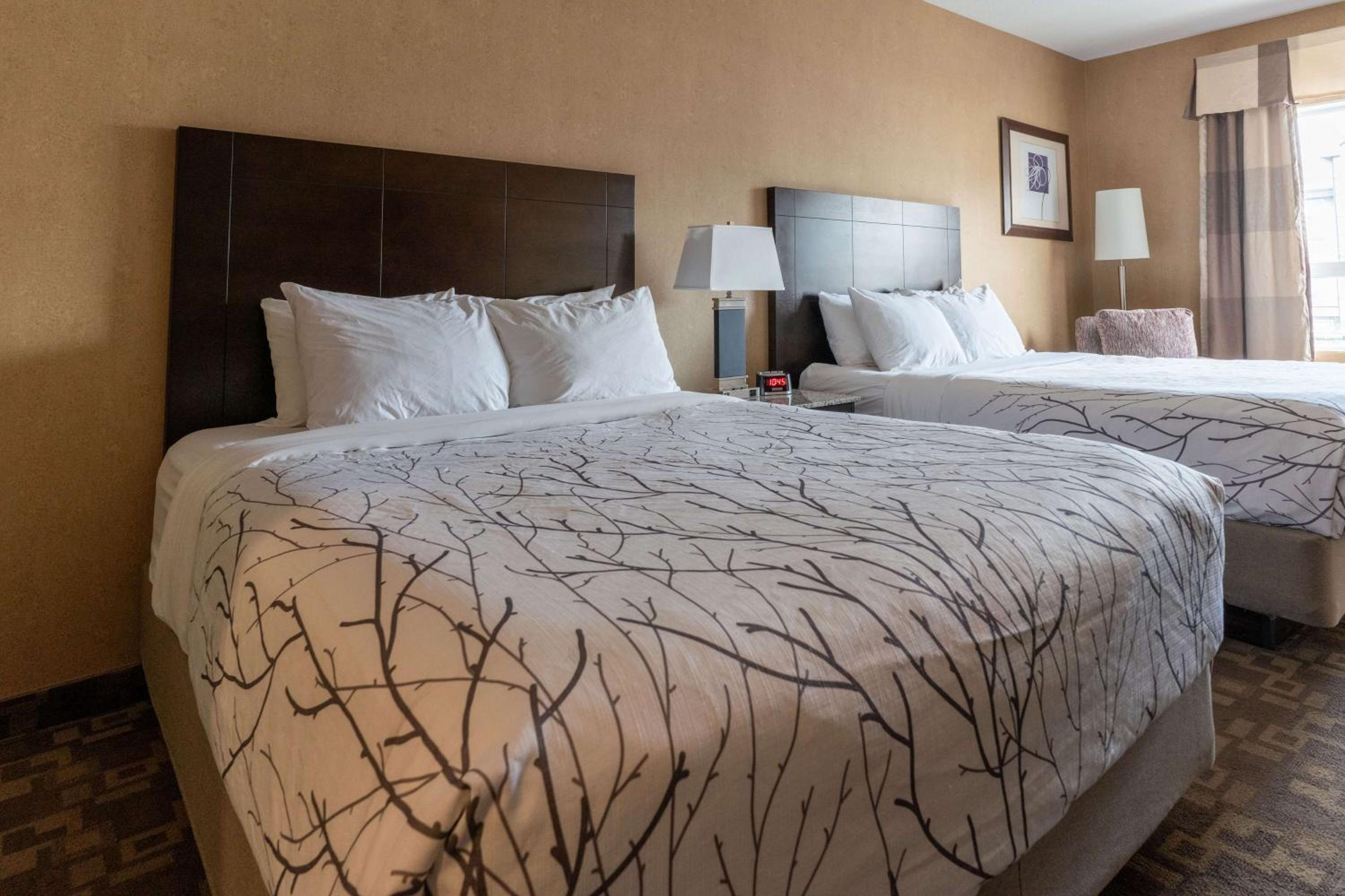 Queen Room with Two Queen Beds - Non-Smoking - Photo 1
