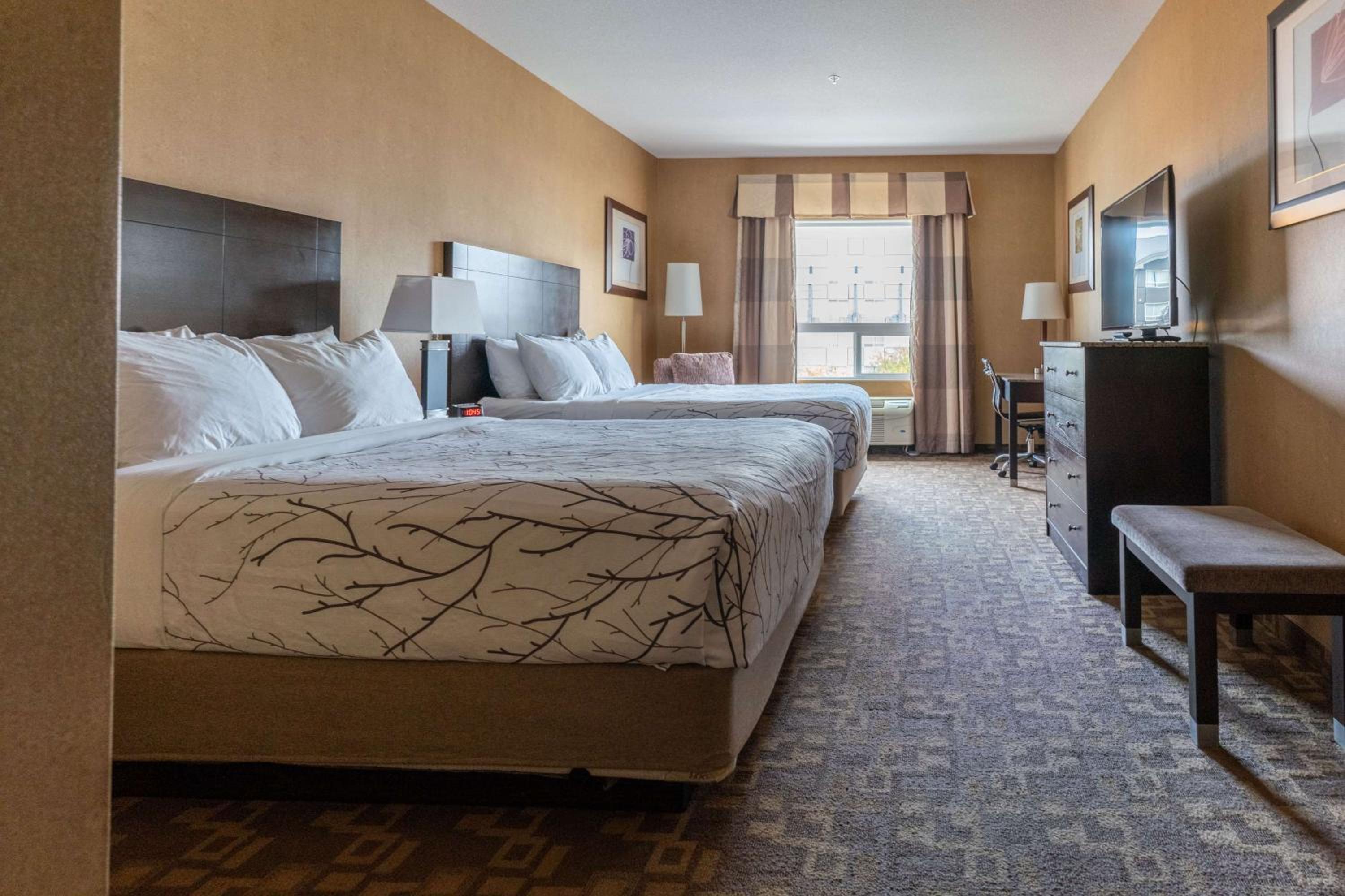 Queen Room with Two Queen Beds - Non-Smoking - Photo 5