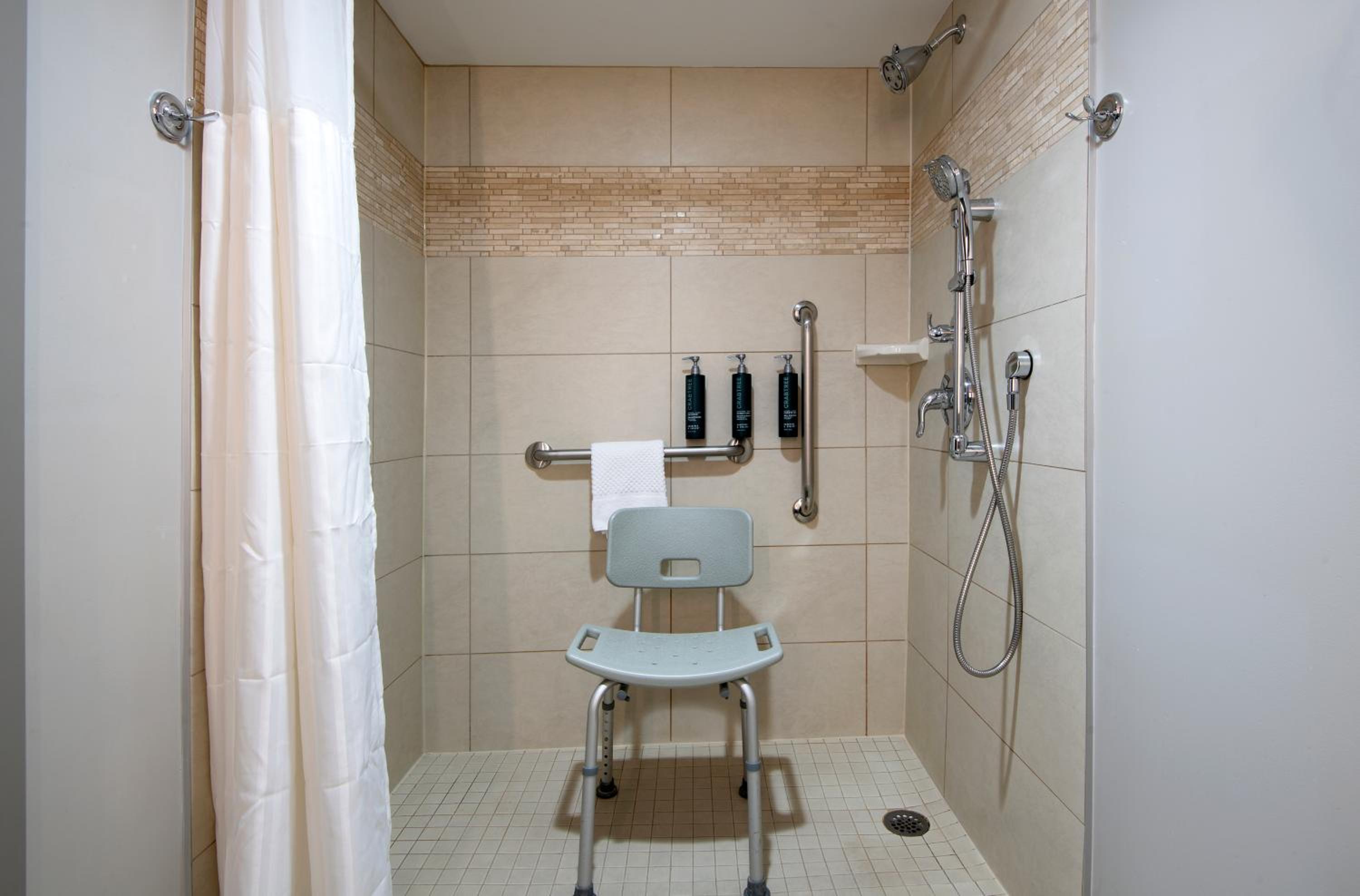 King Room with Roll-in Shower - Mobility and Hearing Accessible/Non-Smoking - Photo 7