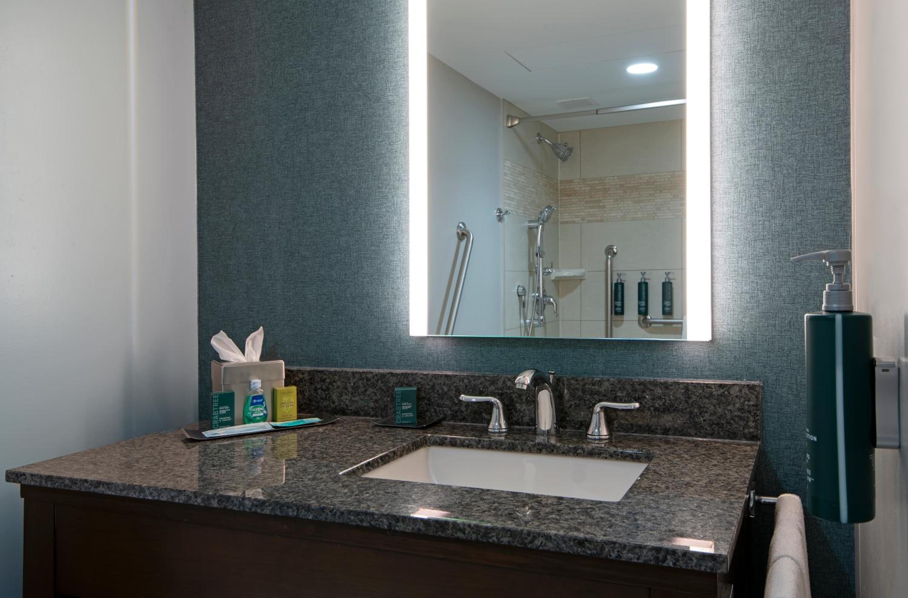 King Room with Roll-in Shower - Mobility and Hearing Accessible/Non-Smoking - Photo 2