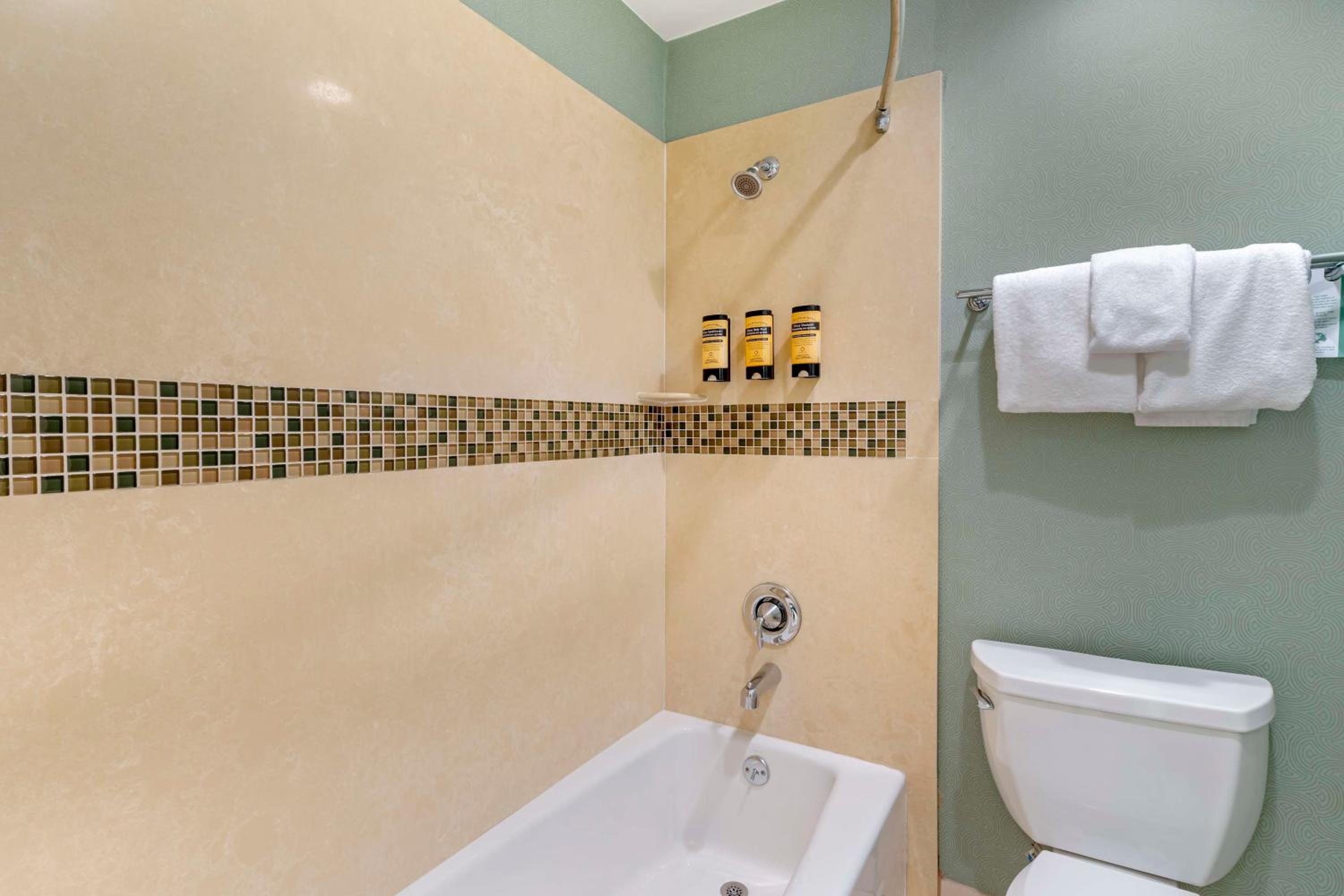 King Room - Non-Smoking - Photo 6