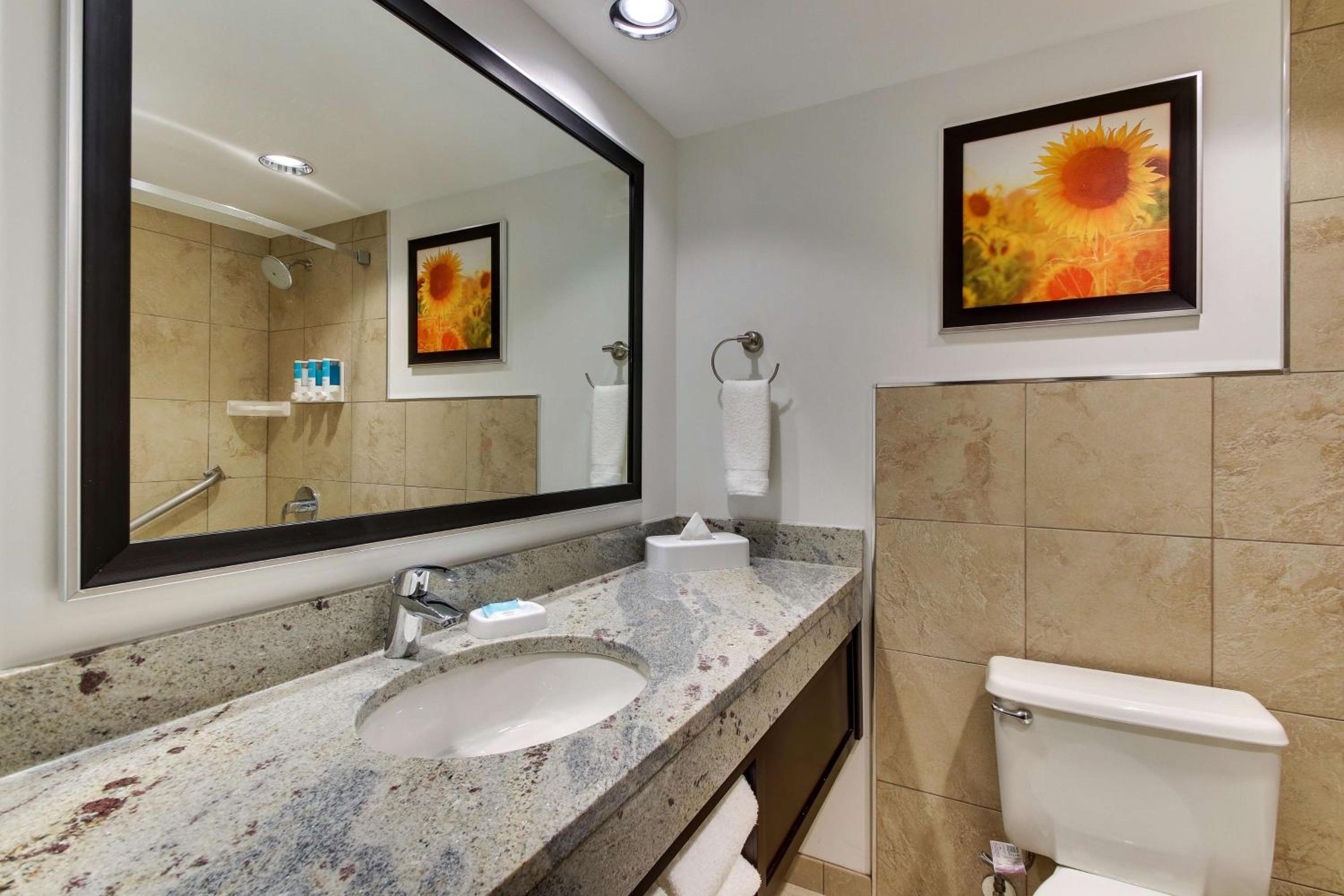 Superior King Room photo 2