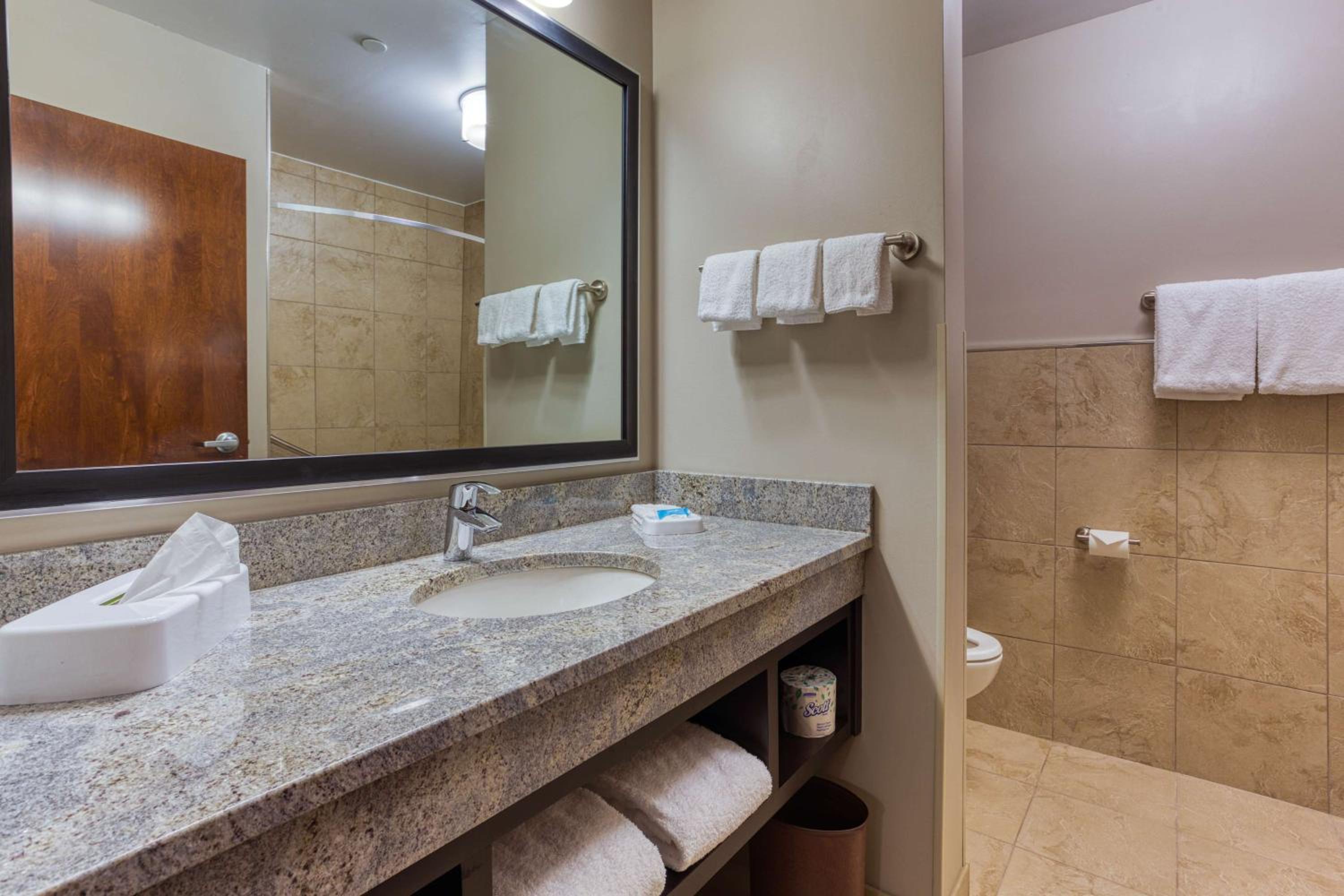 King Suite with Sofa Bed - Hearing Accessible photo 3
