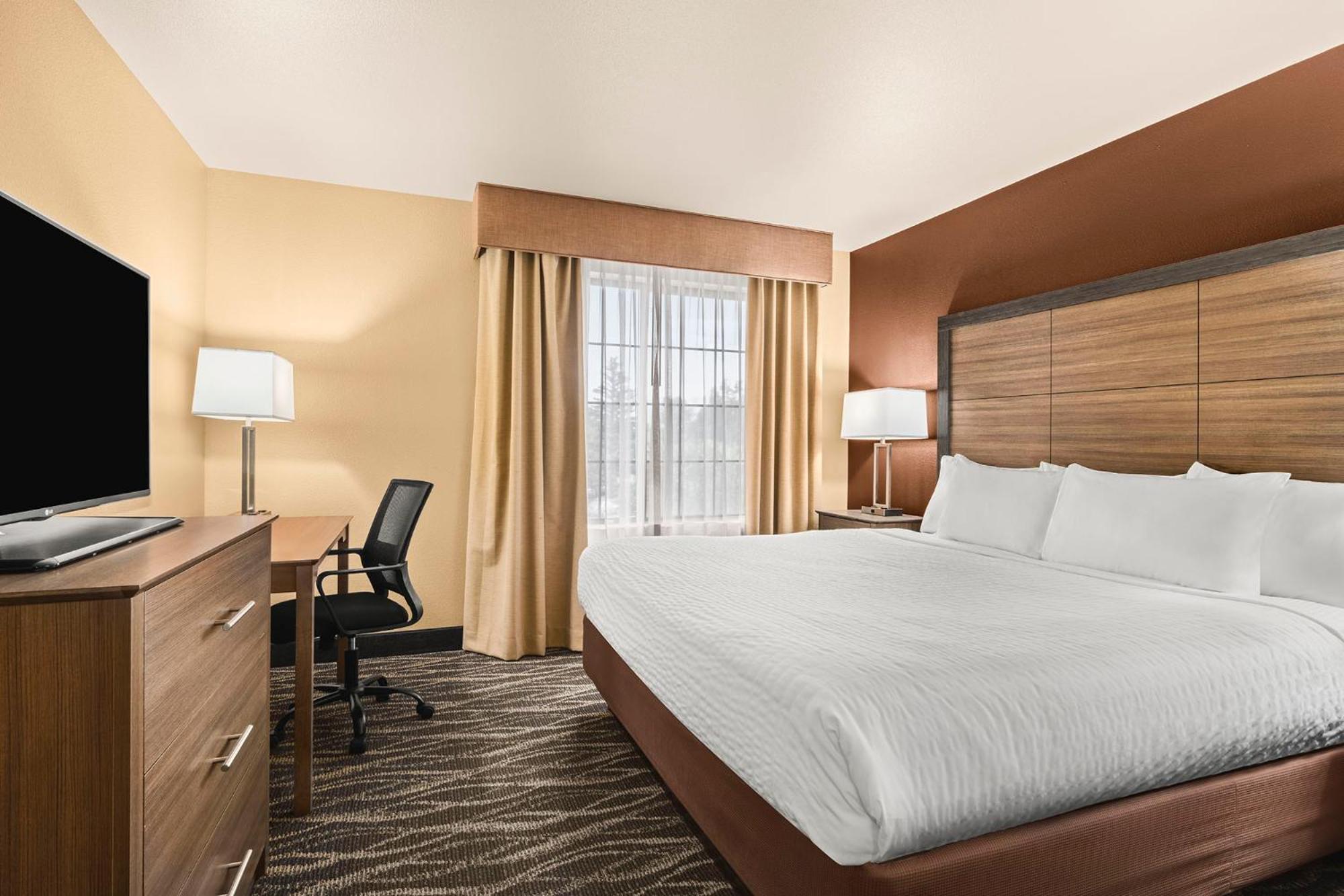 King Suite - Photo 1