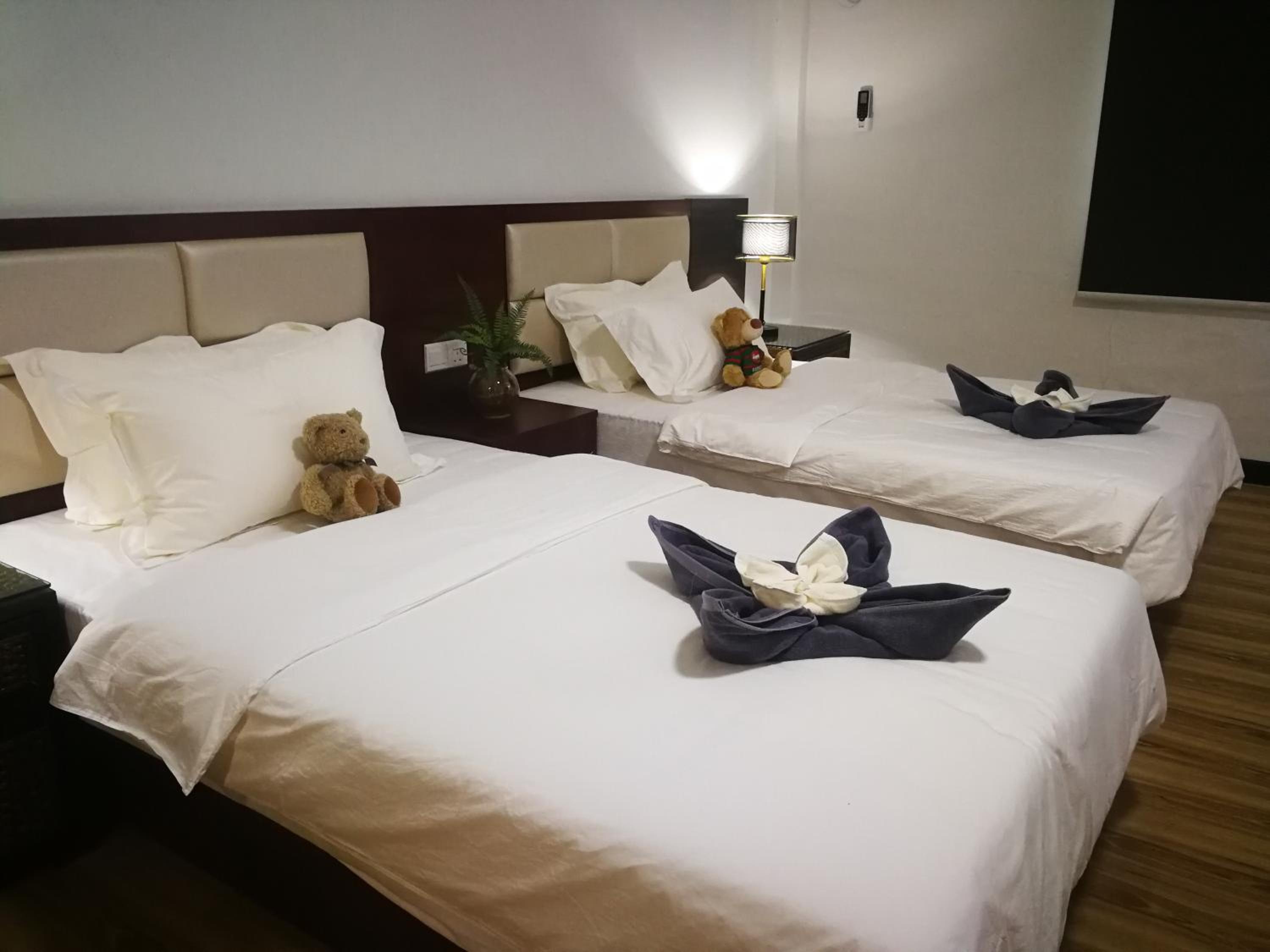 Deluxe Twin Room photo 1