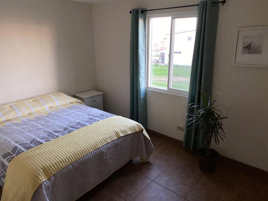 Four-Bedroom House photo 2