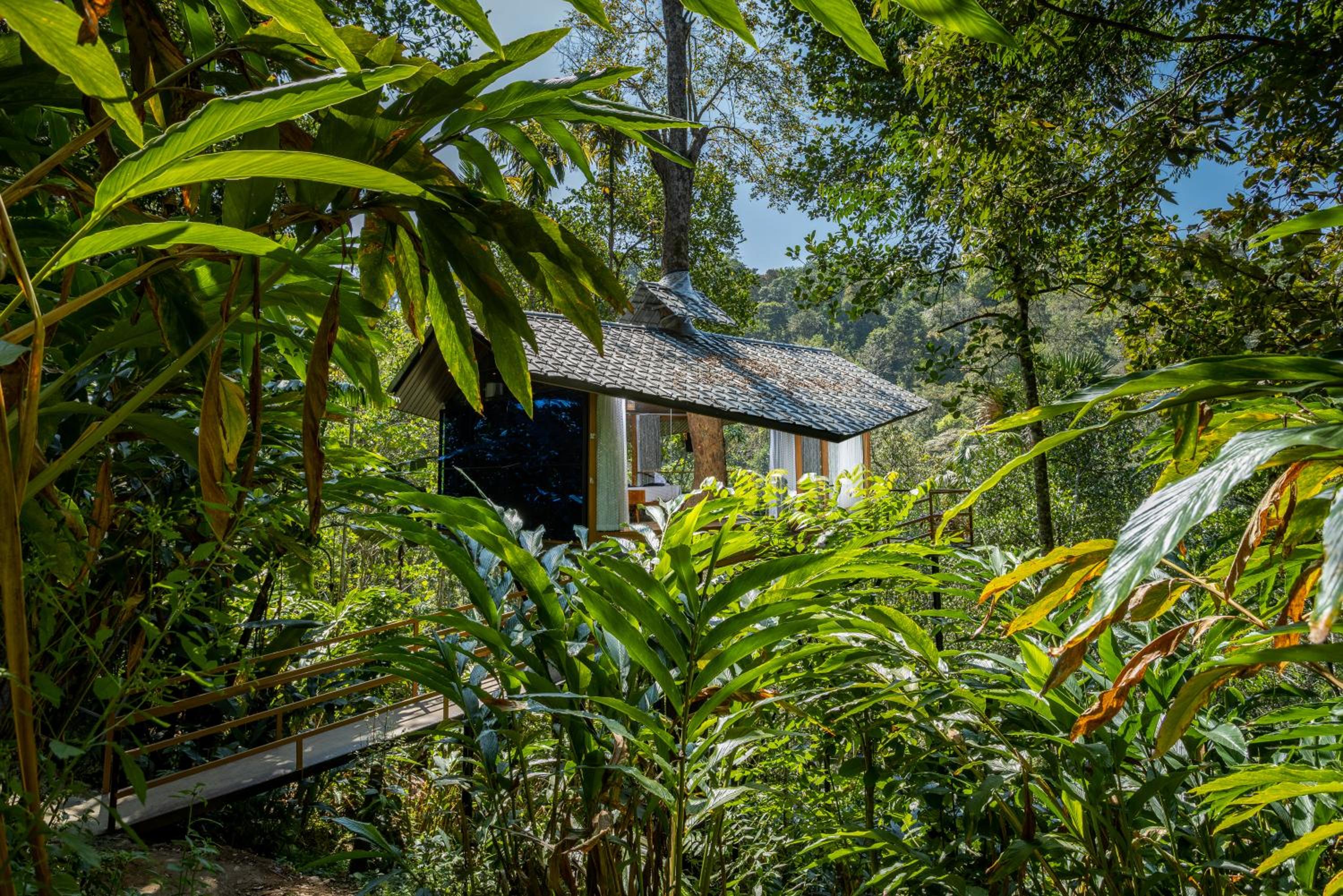 LUXURY TREE HOUSE - Photo 8