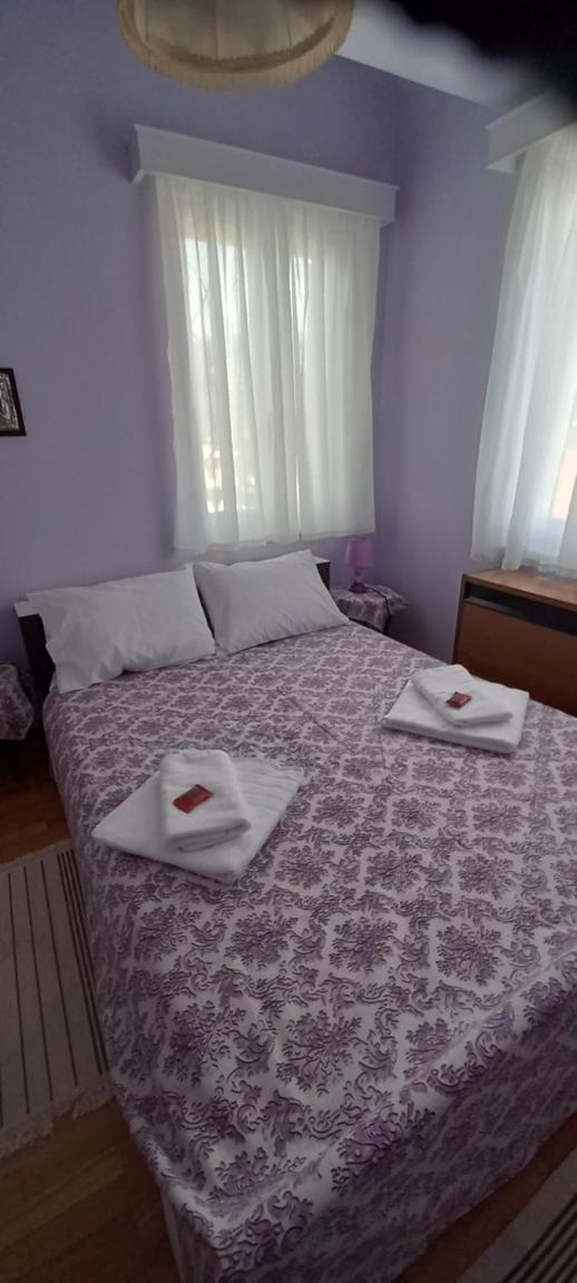 One-Bedroom House photo 3