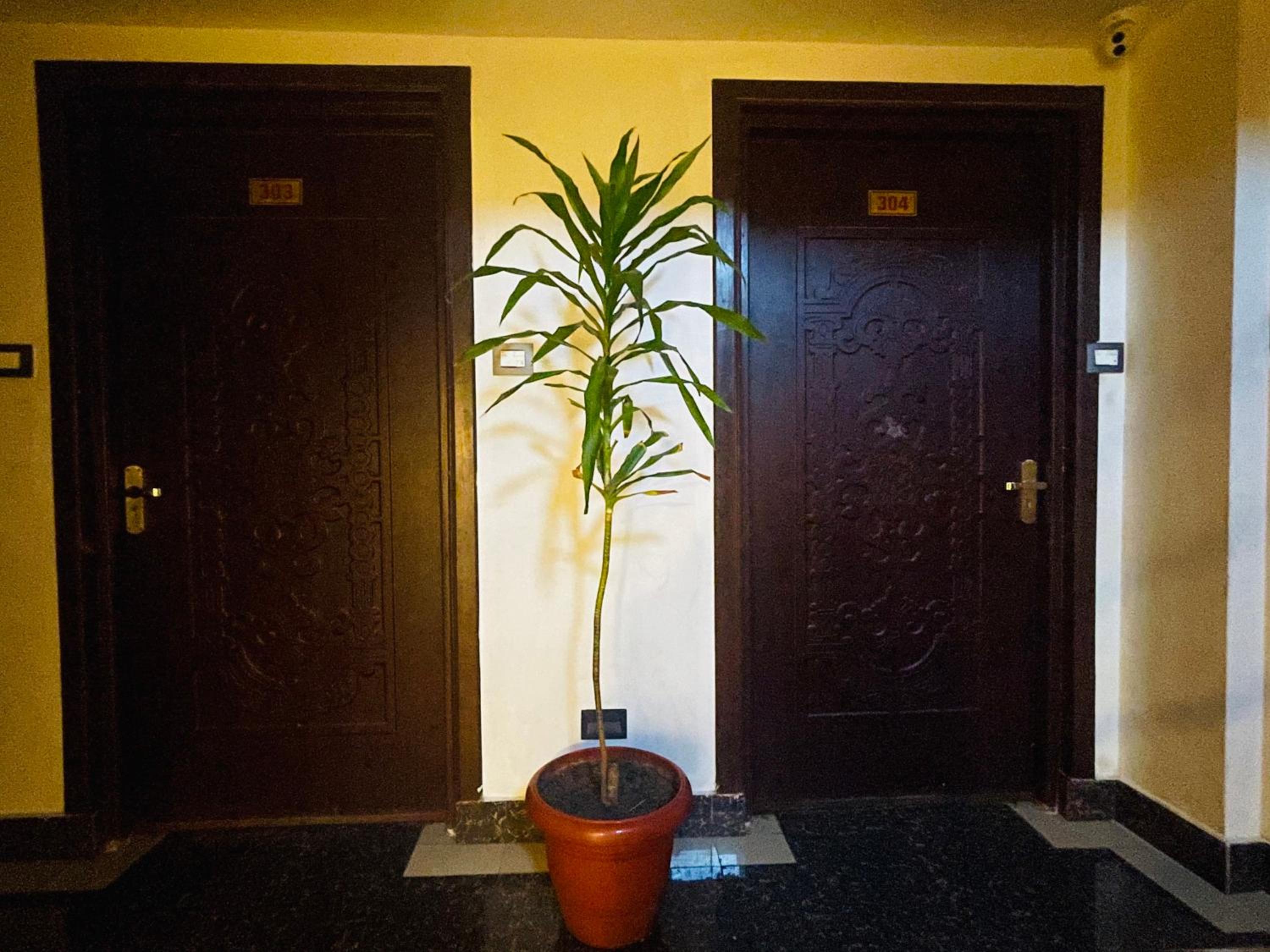 Single Room - Photo 6