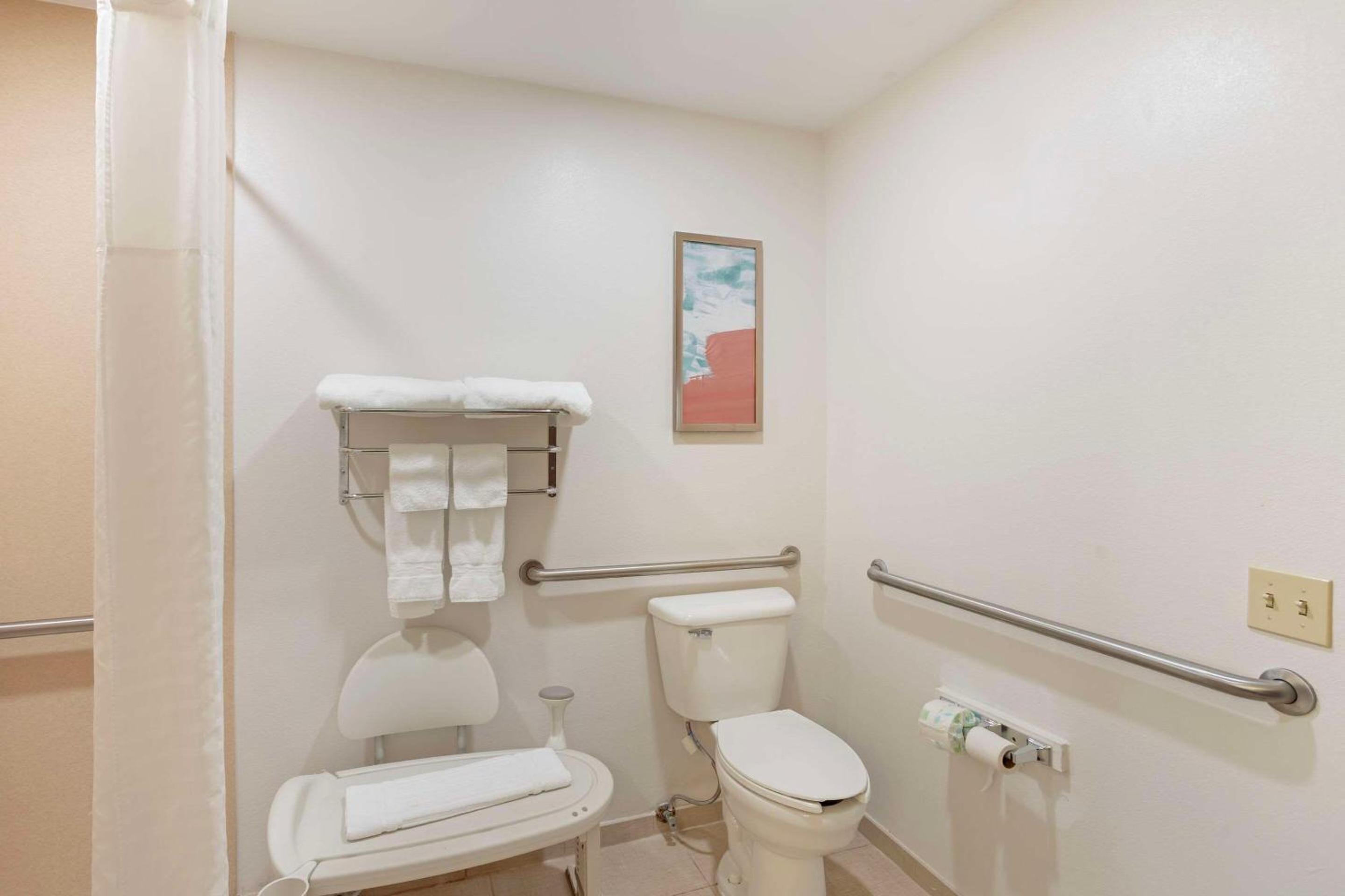 King Suite with Roll-in-Shower - Accessible/Non-Smoking photo 3
