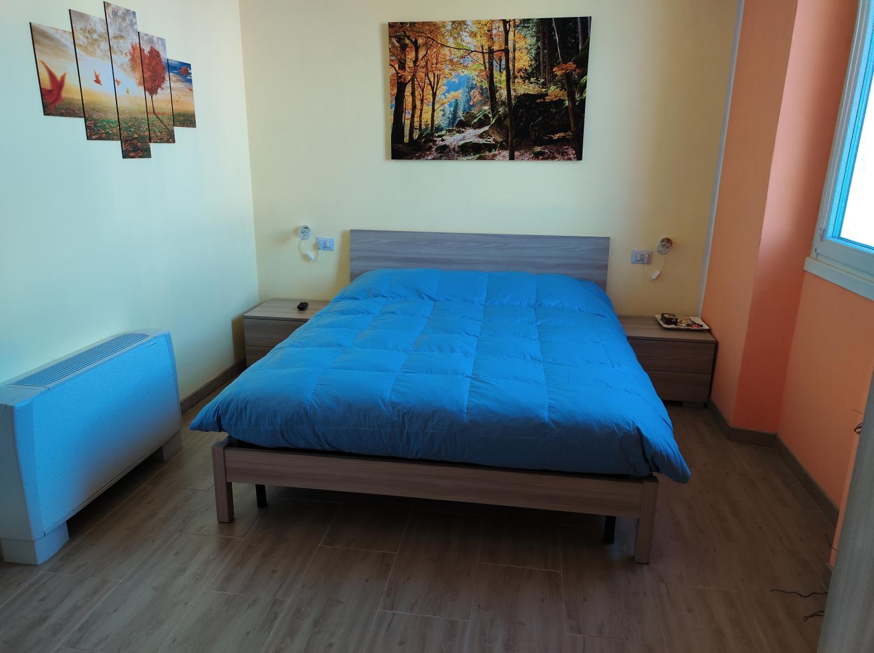 Large Double Room photo 2