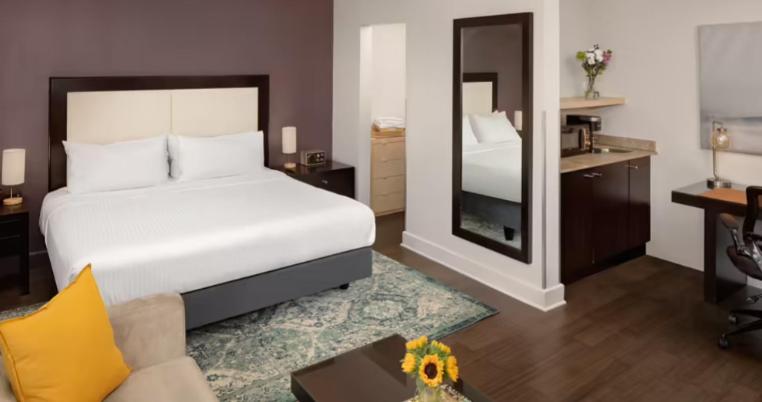 Suite - Photo 1