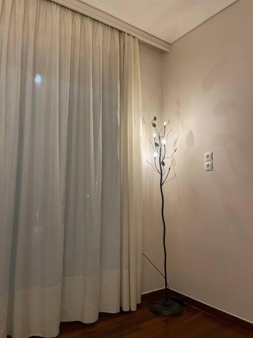 两卧室公寓