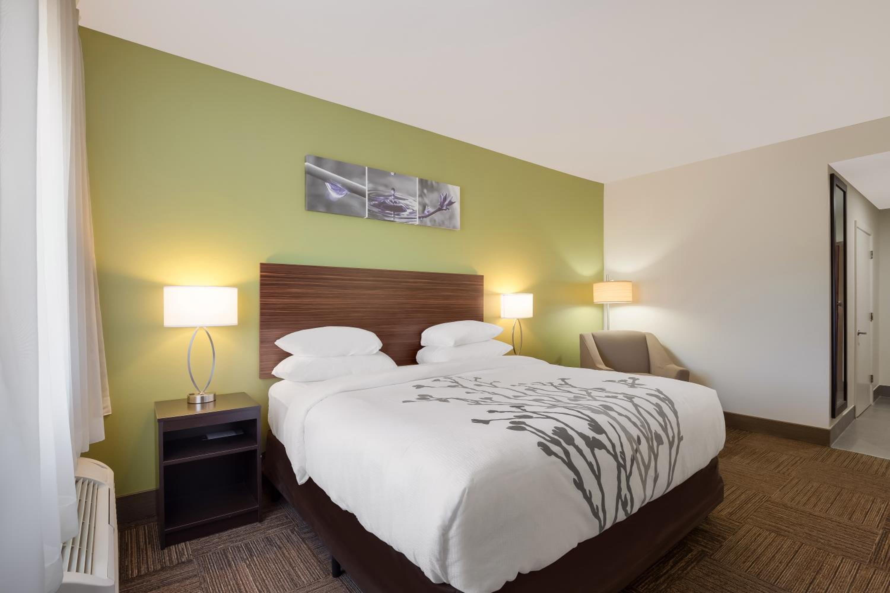 King Room - Accessible/Non Smoking - Photo 1