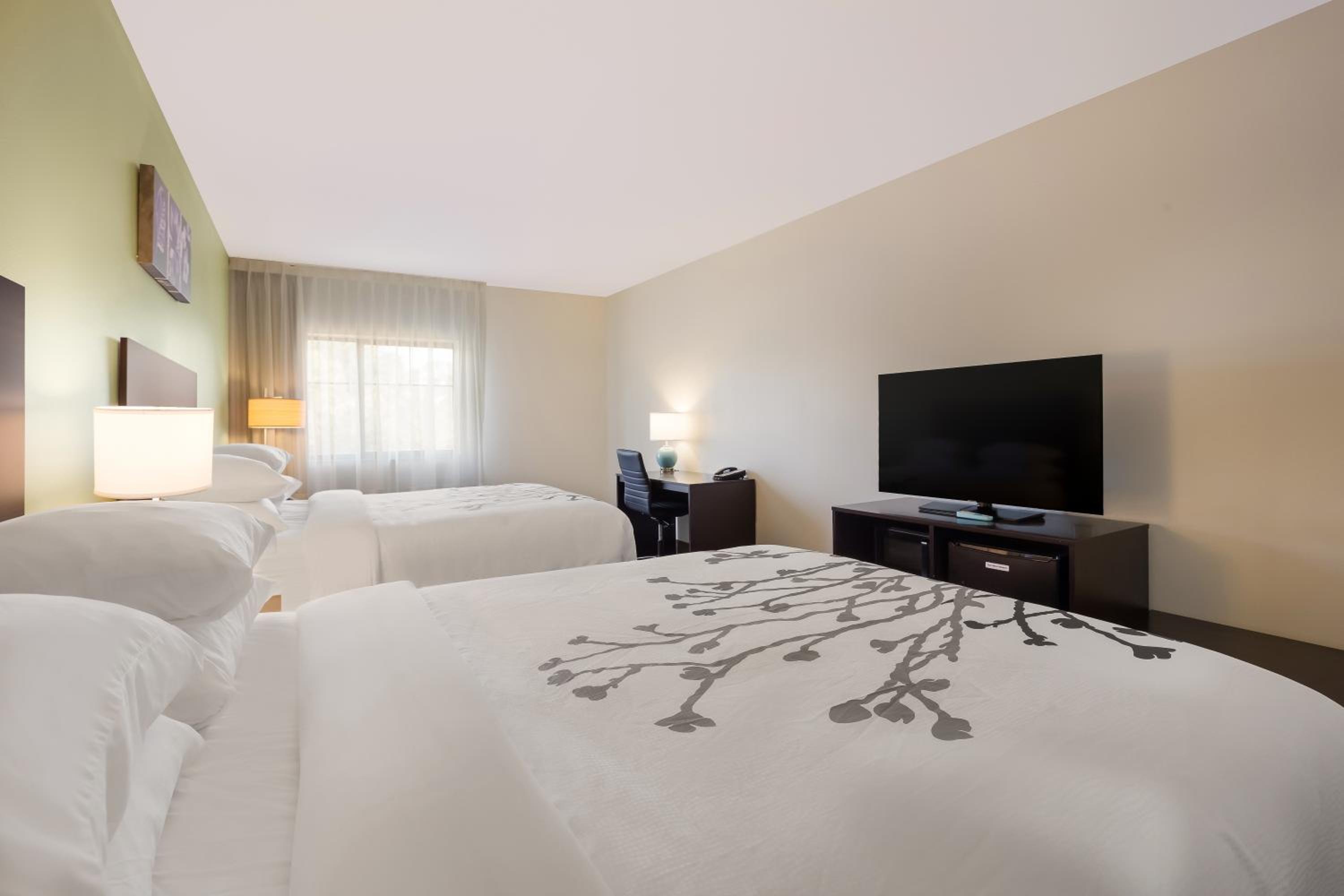 Standard Queen Room with Two Queen Beds - Non Smoking  - Photo 4