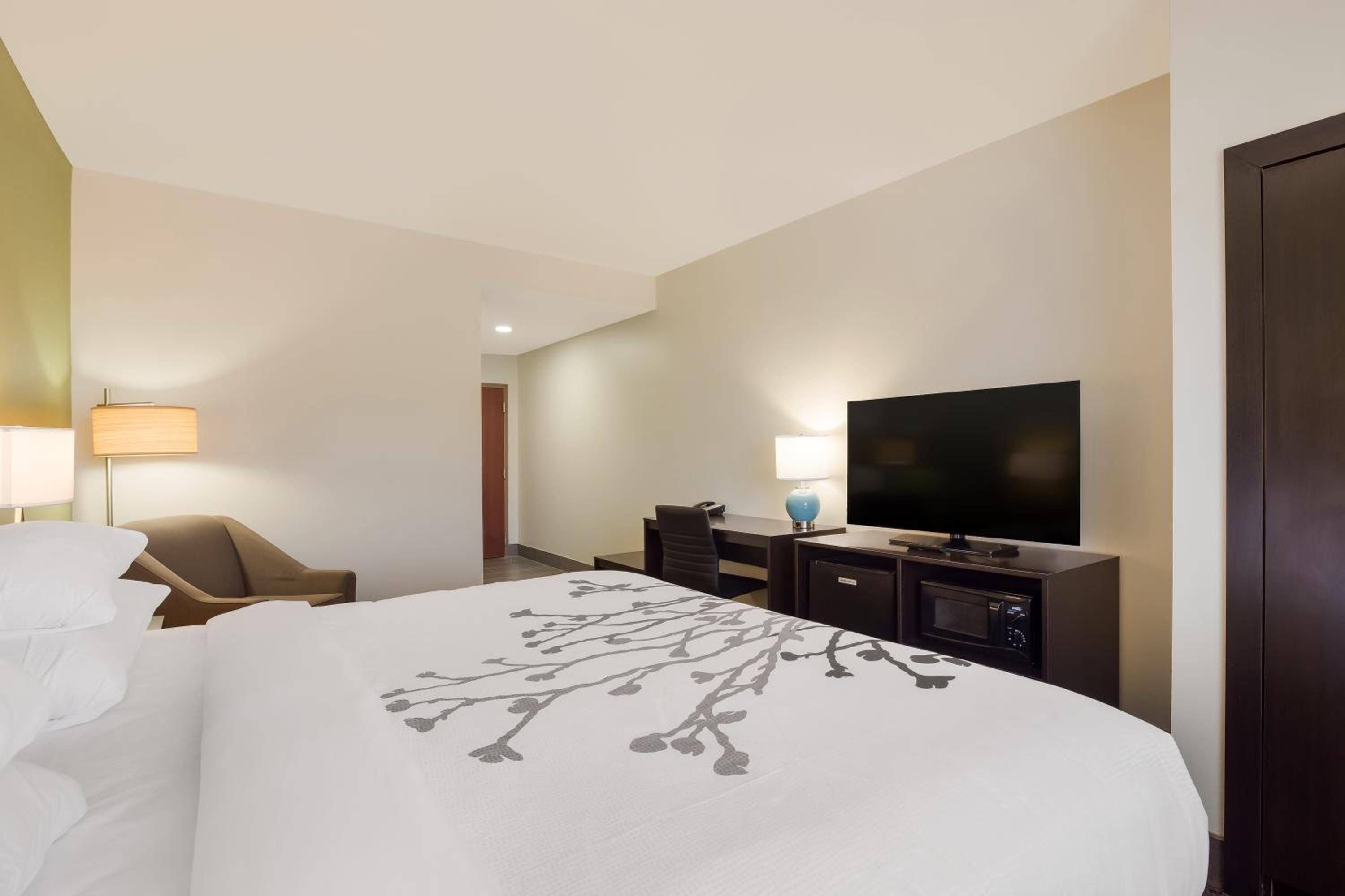 King Room - Accessible/Non Smoking - Photo 5