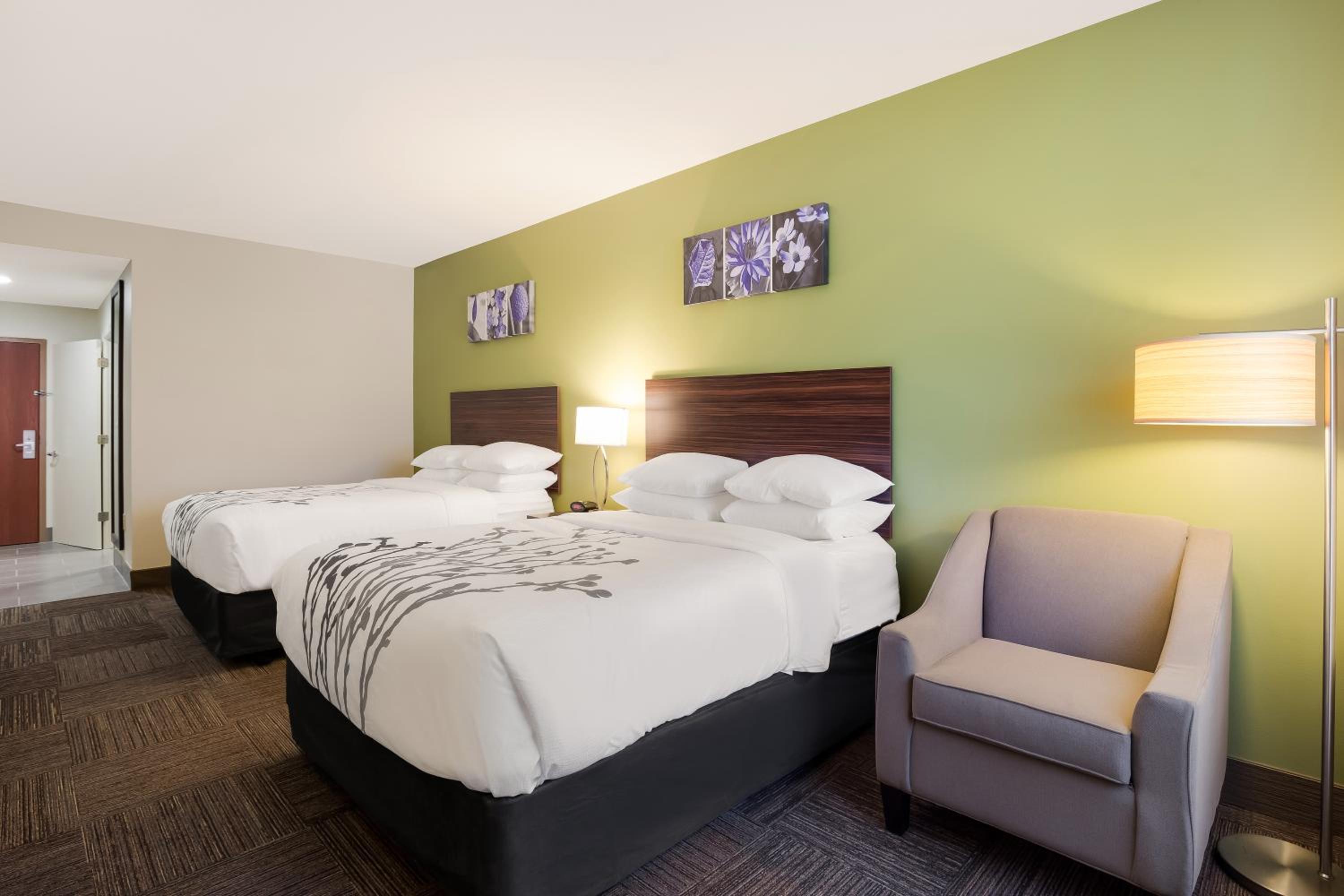 Superior Efficiency Double Room with Two Double Beds - Accessible/Non Smoking - Photo 1