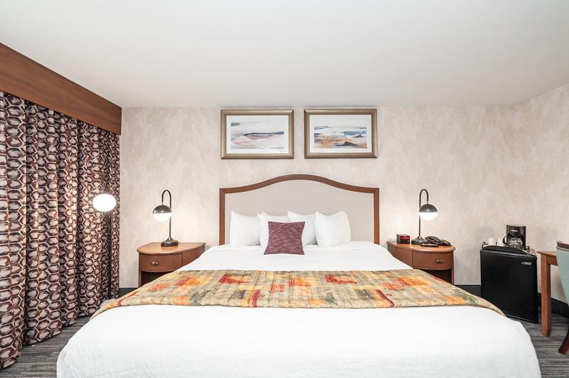 King Room, Non-Smoking - Photo 3