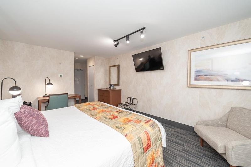 King Room, Non-Smoking - Photo 4