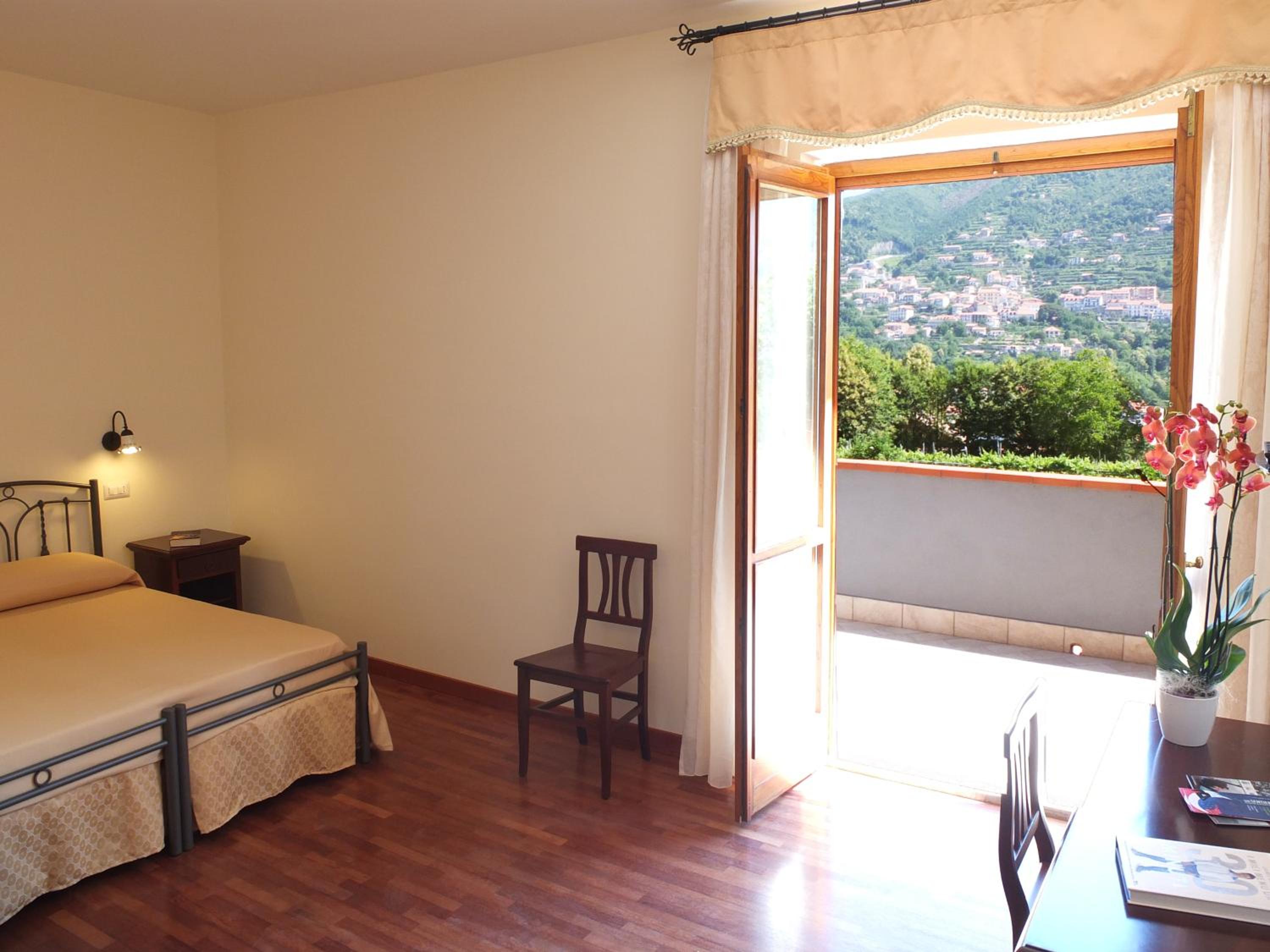 Deluxe Double or Twin Room photo 2