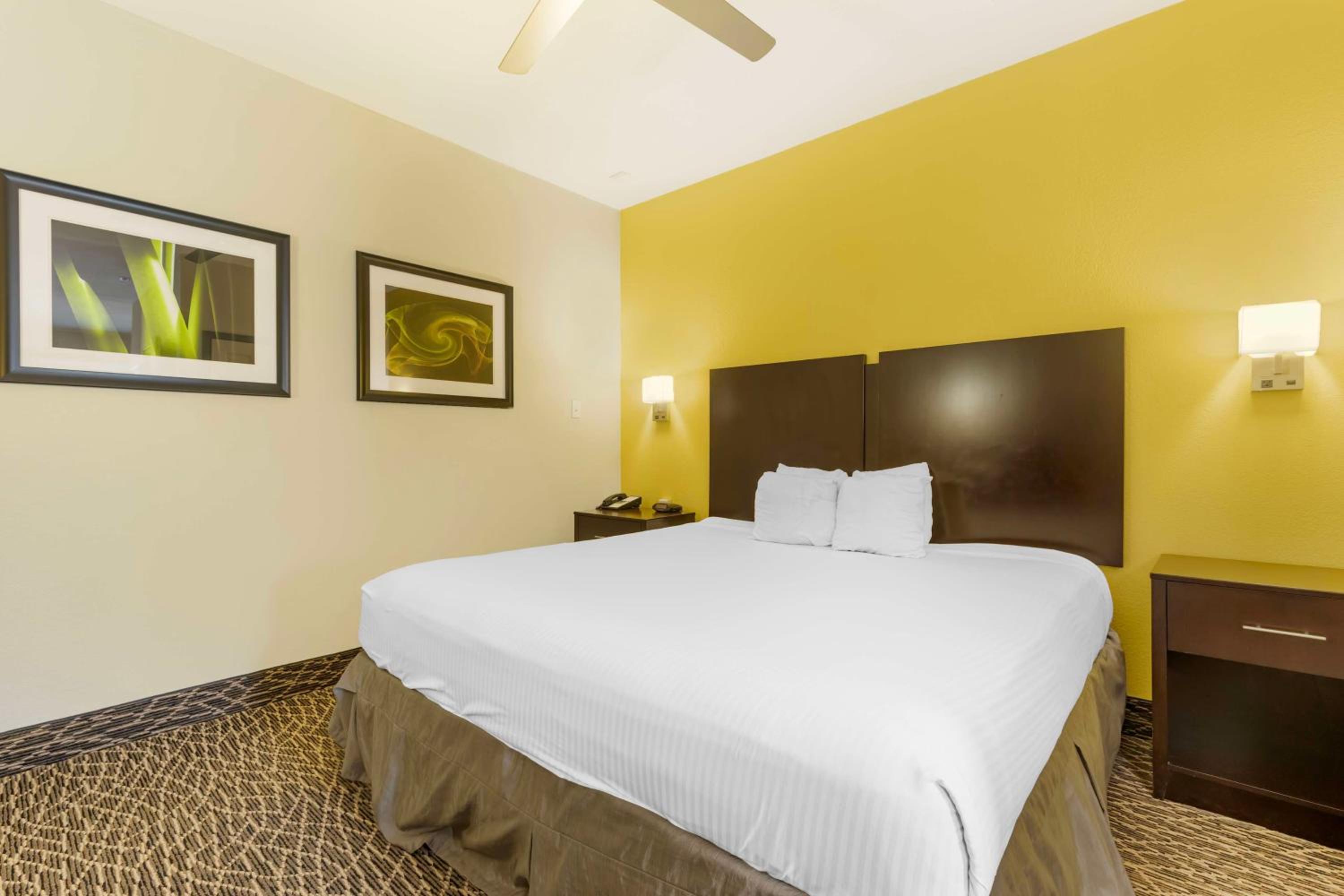 King Suite with Sofa Bed - Non Smoking photo 2