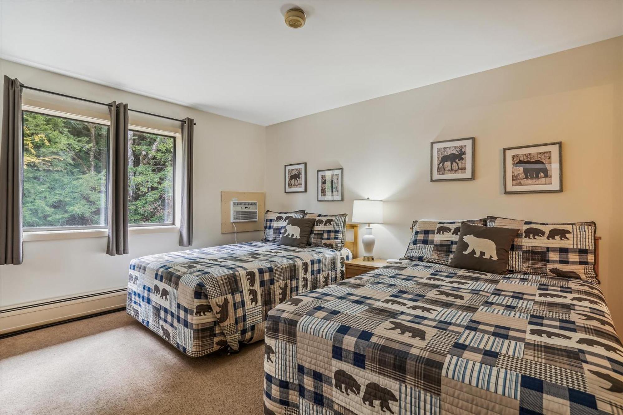 Suite photo 1