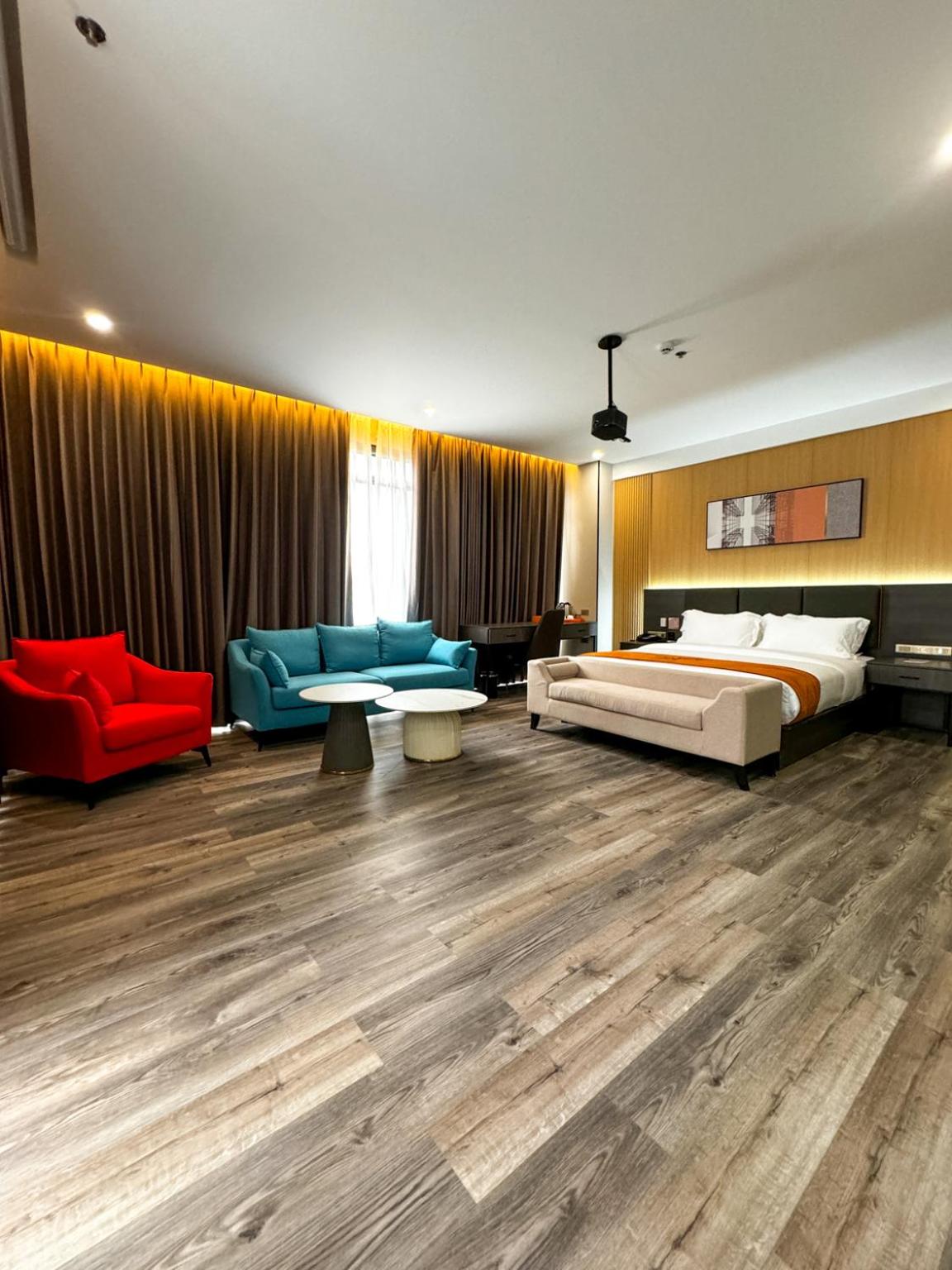Deluxe King Suite - Photo 1