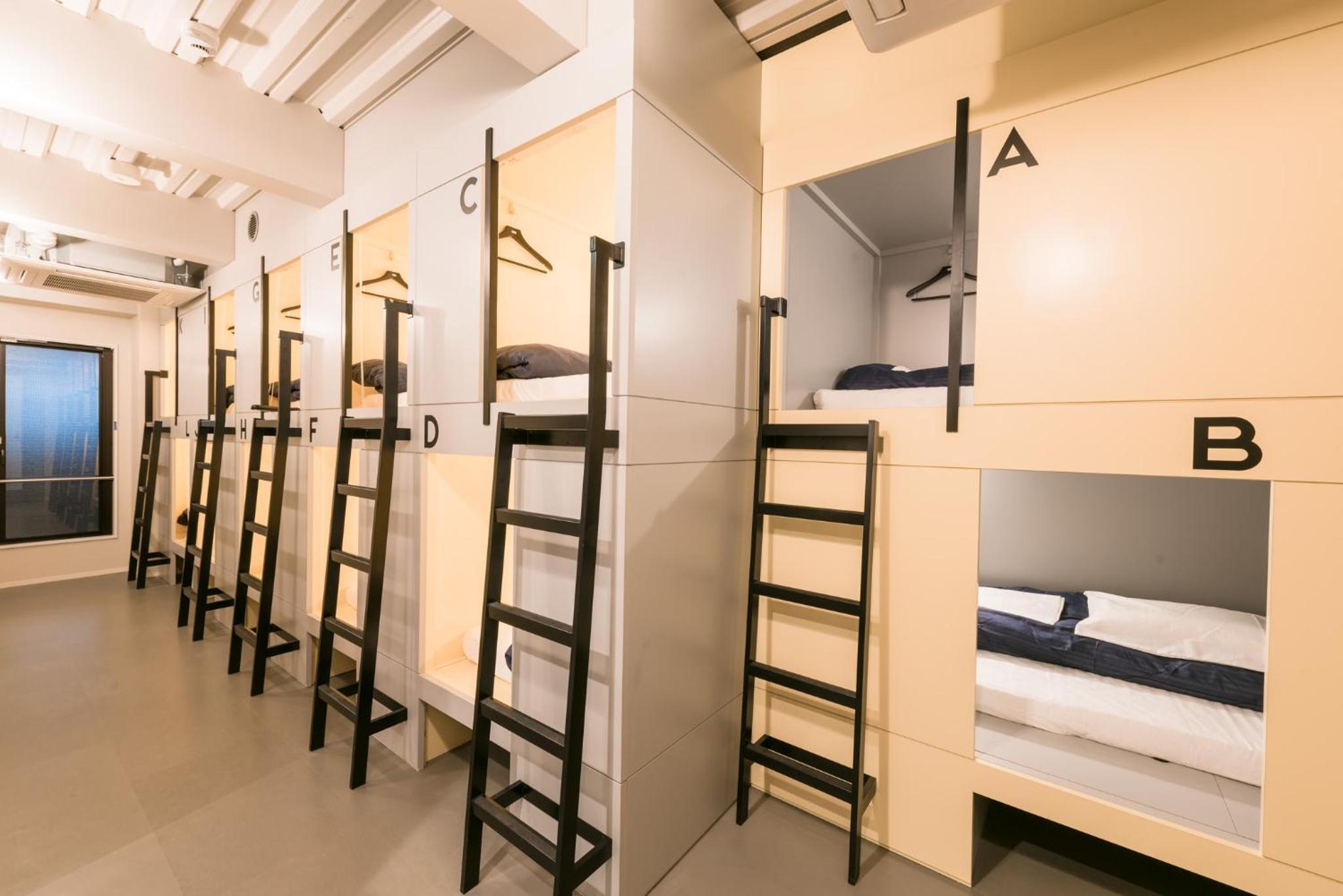 Bunk Bed In Mixed Dormitory Room photo 1