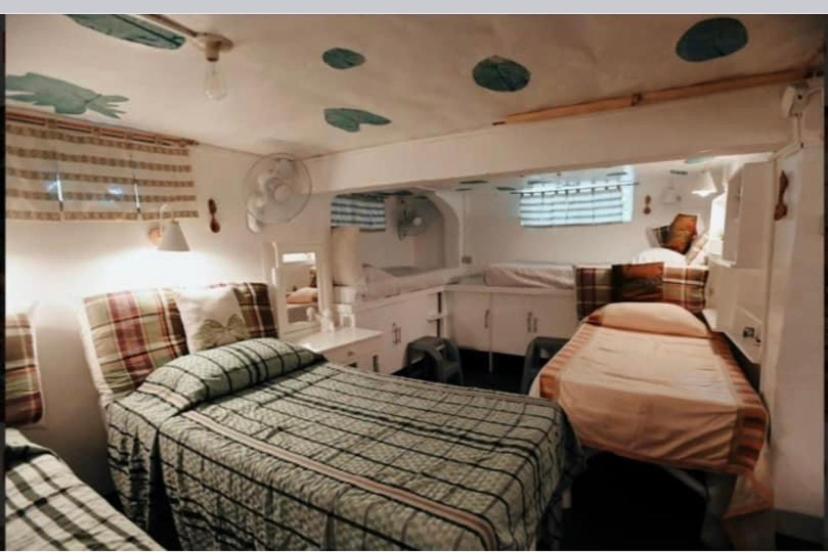 10-Bed Mixed Dormitory Room photo 1