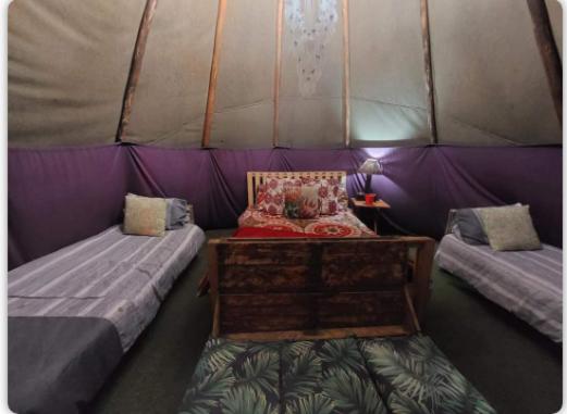 Luxury Tent - Photo 1