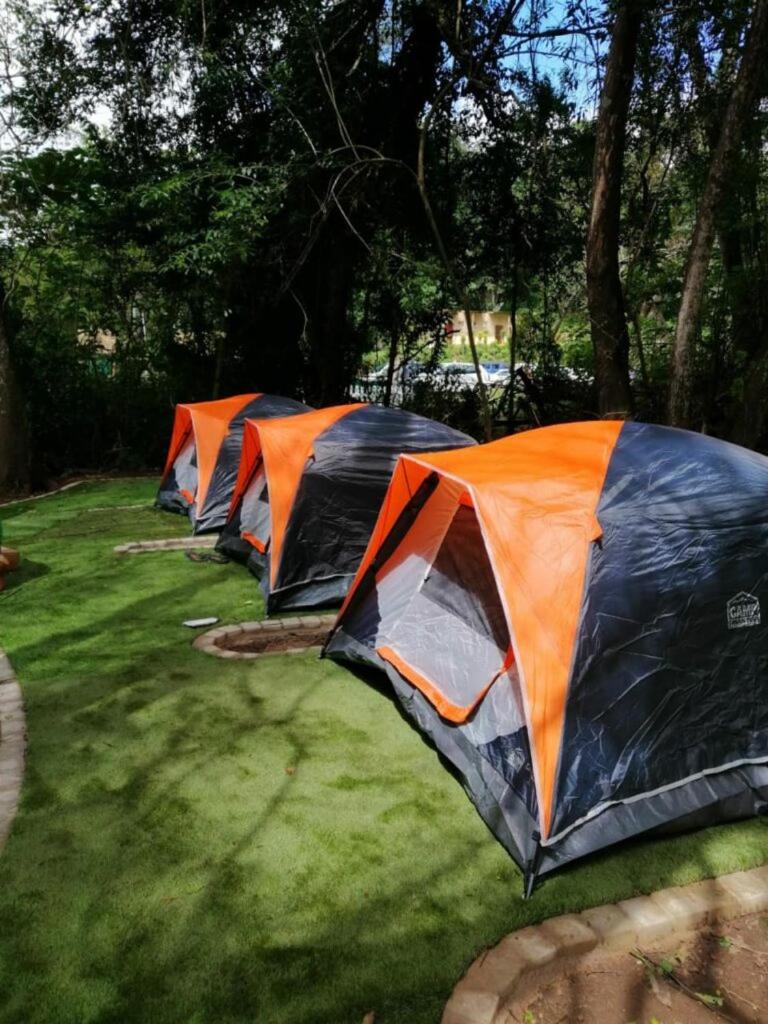 Standard Tent - Photo 4